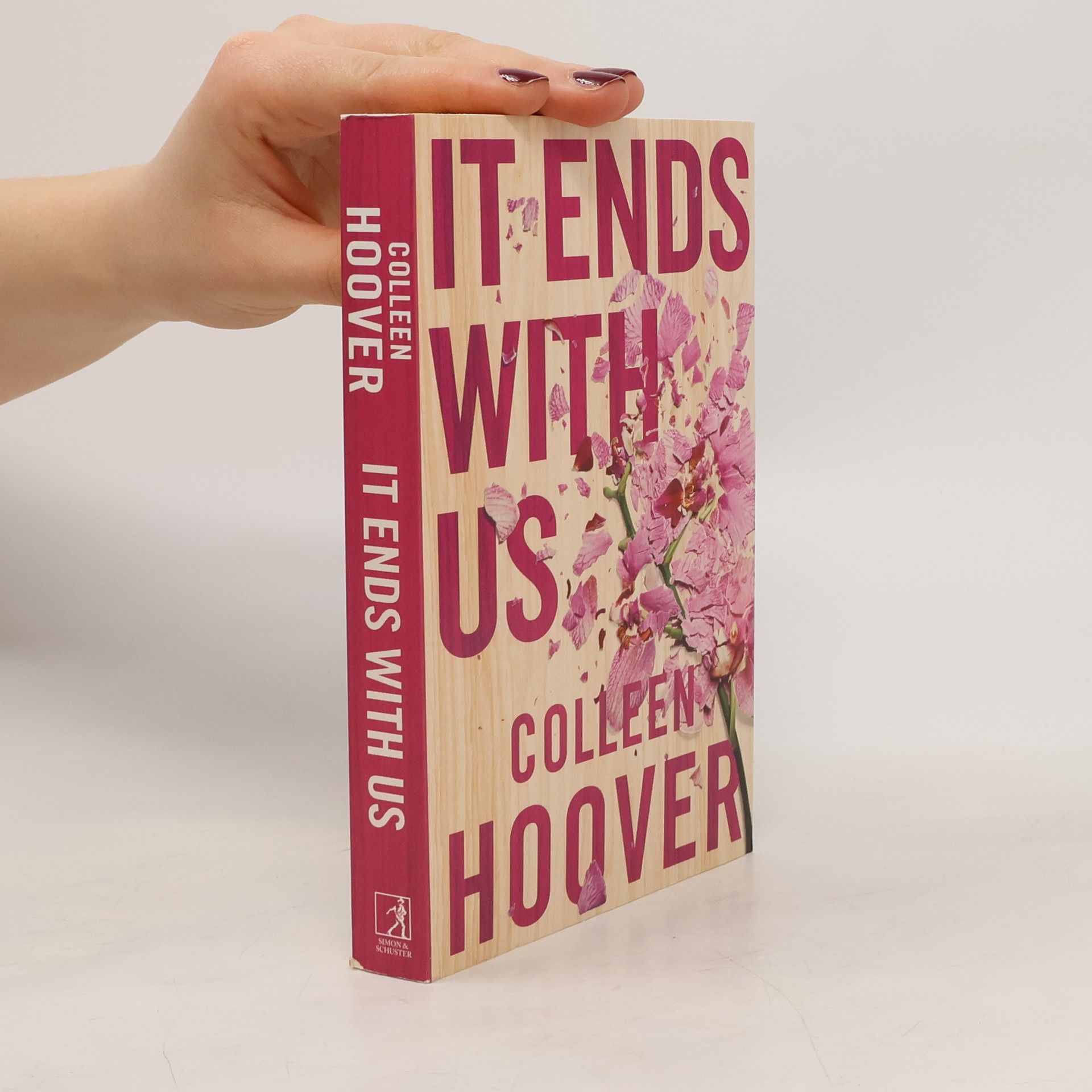 Colleen Hoover It Ends With Us
