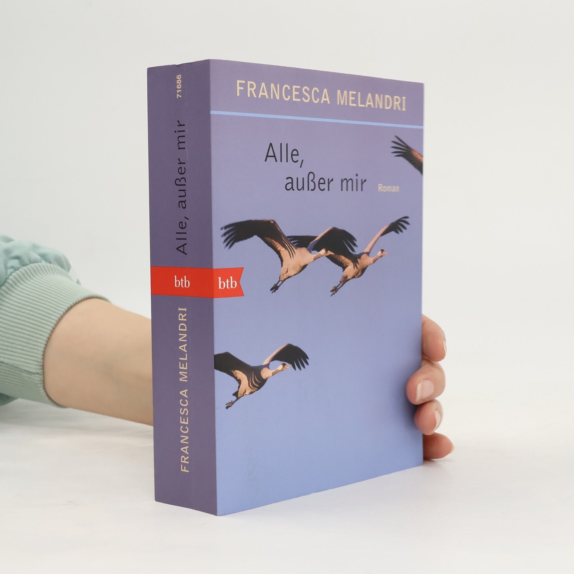 Francesca Melandri Alle, außer mir