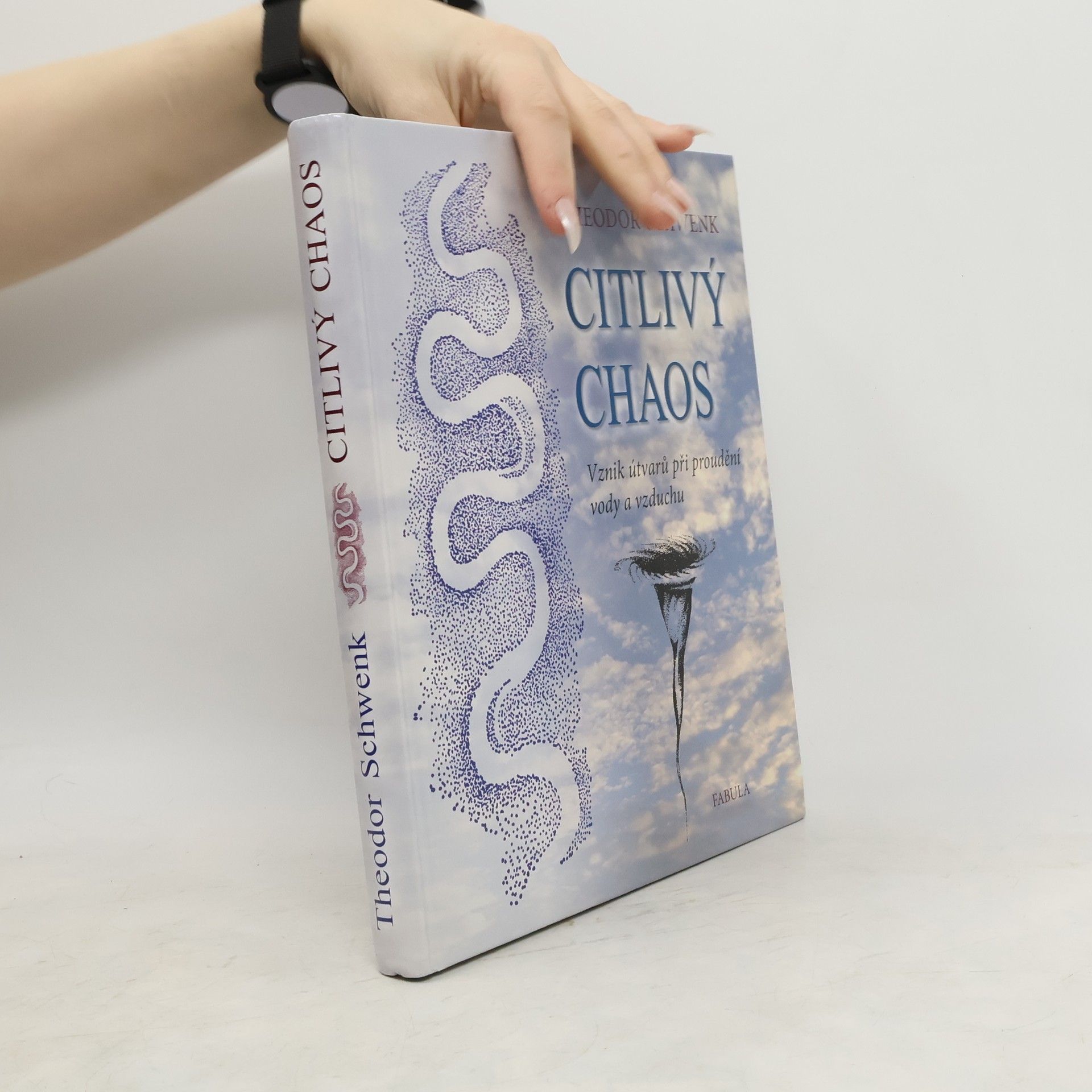 Theodor Schwenk Citlivý chaos