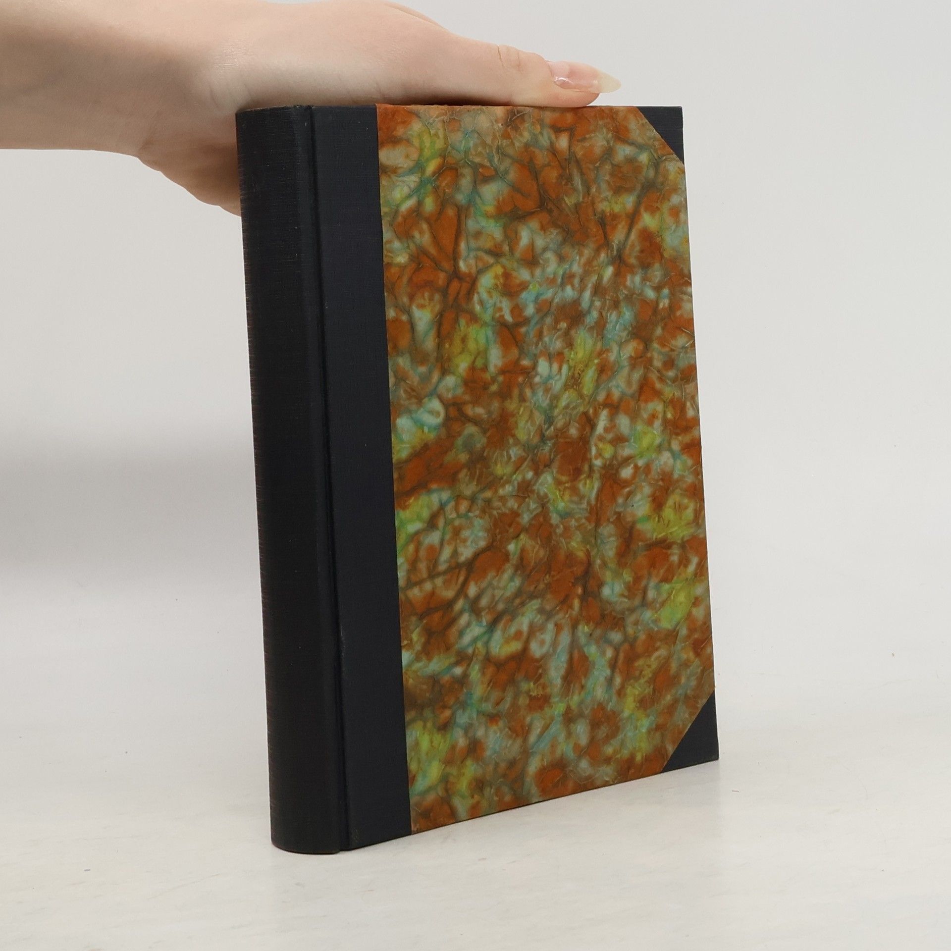 Lew Nikolajewitsch Tolstoi Vojna a mír II