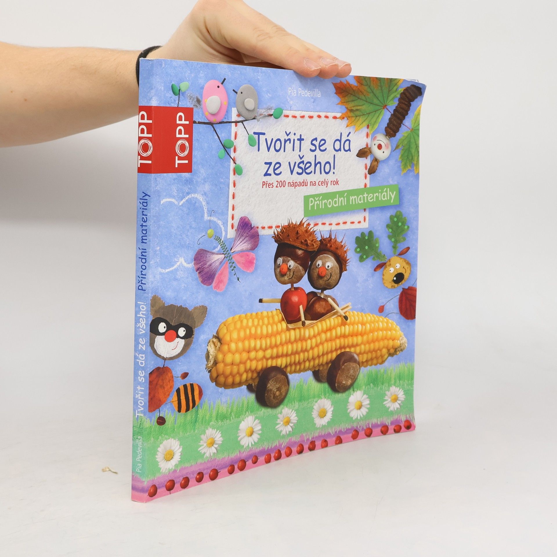 Pia Pedevilla Tvořit se dá ze všeho! Přes 200 nápadů na celý rok