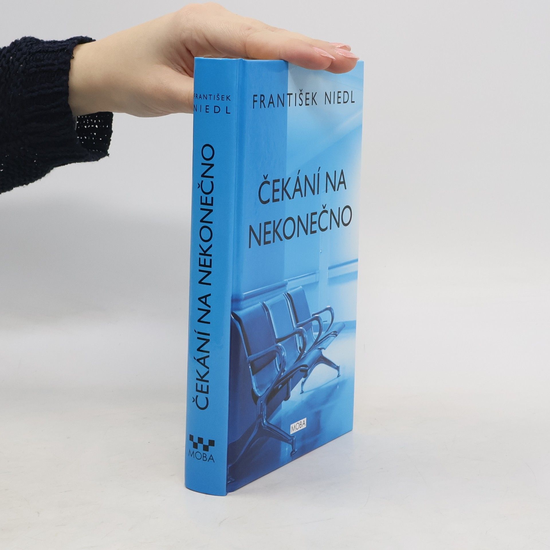 František Niedl Čekání na nekonečno