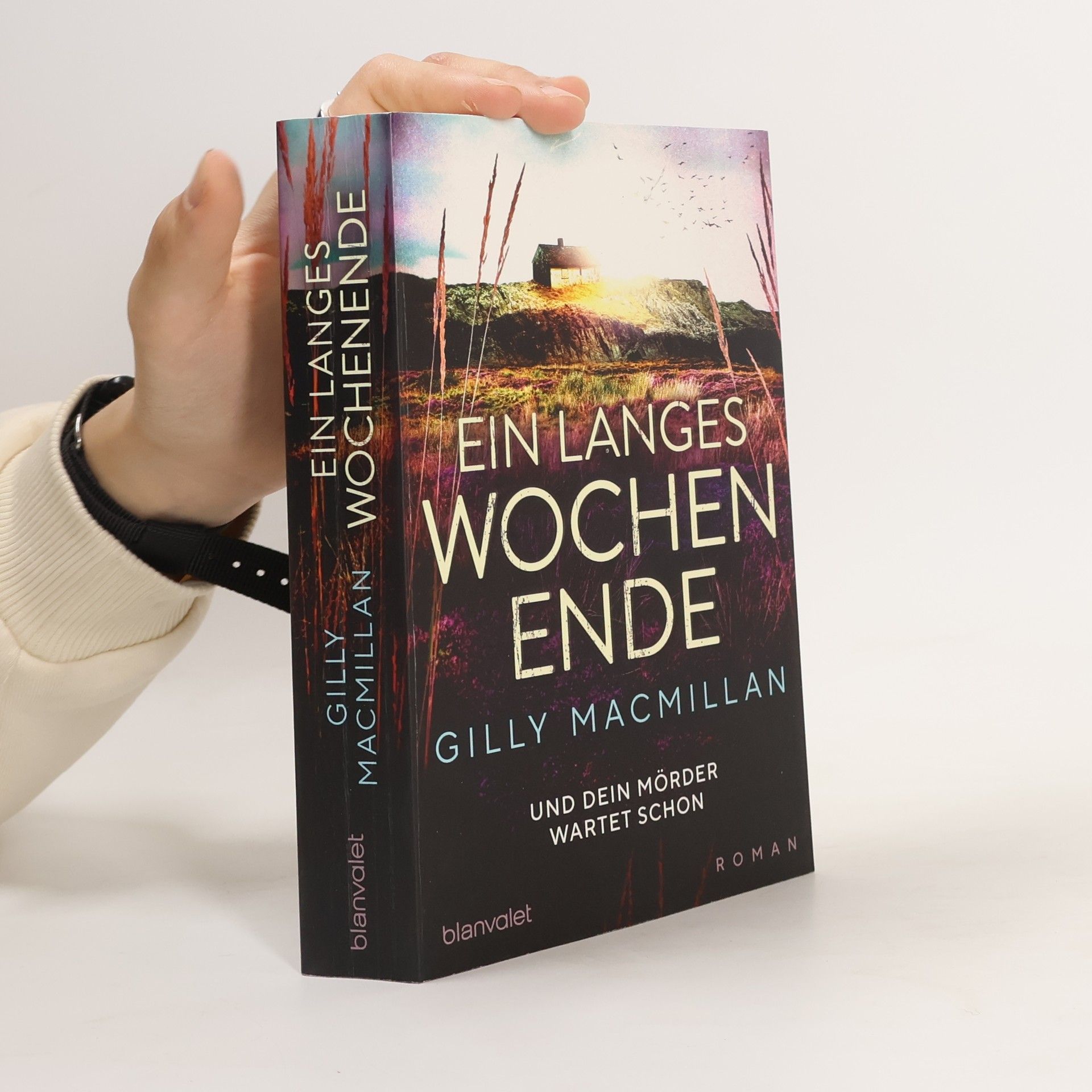 Gilly Macmillan Ein langes Wochenende