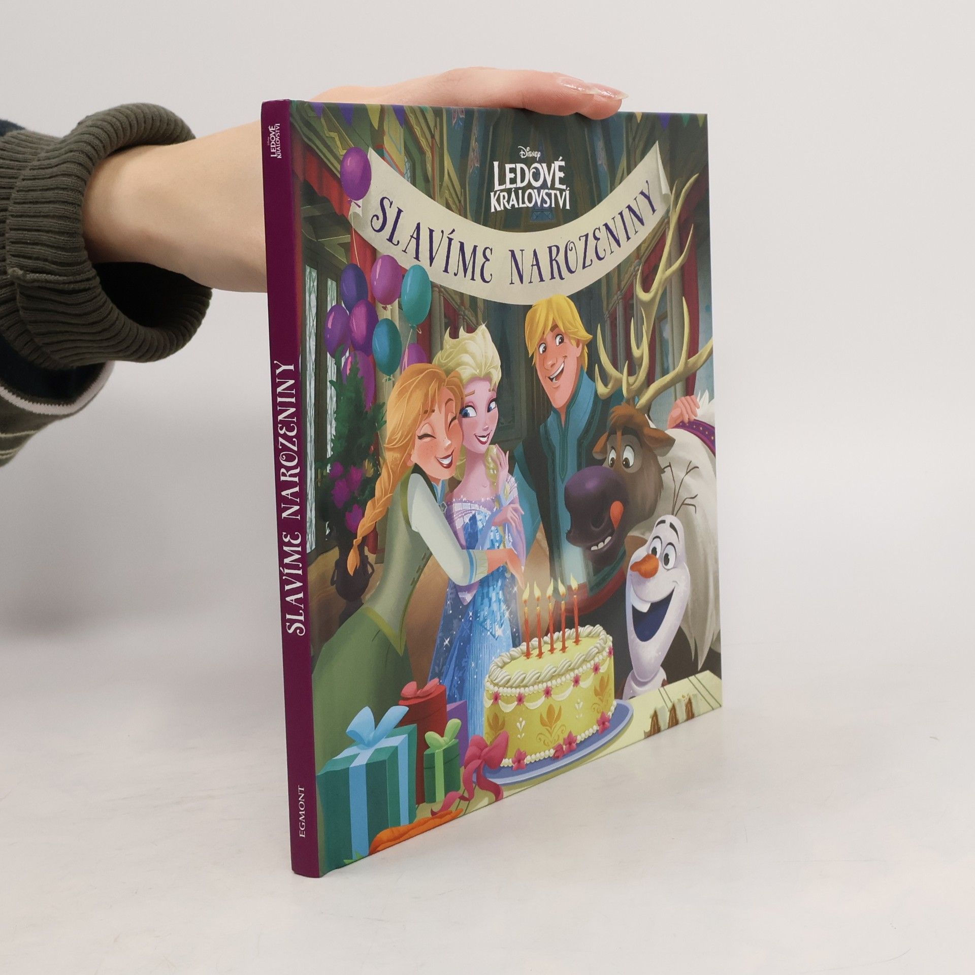 Kolektiv autorů Ledové království. Slavíme narozeniny