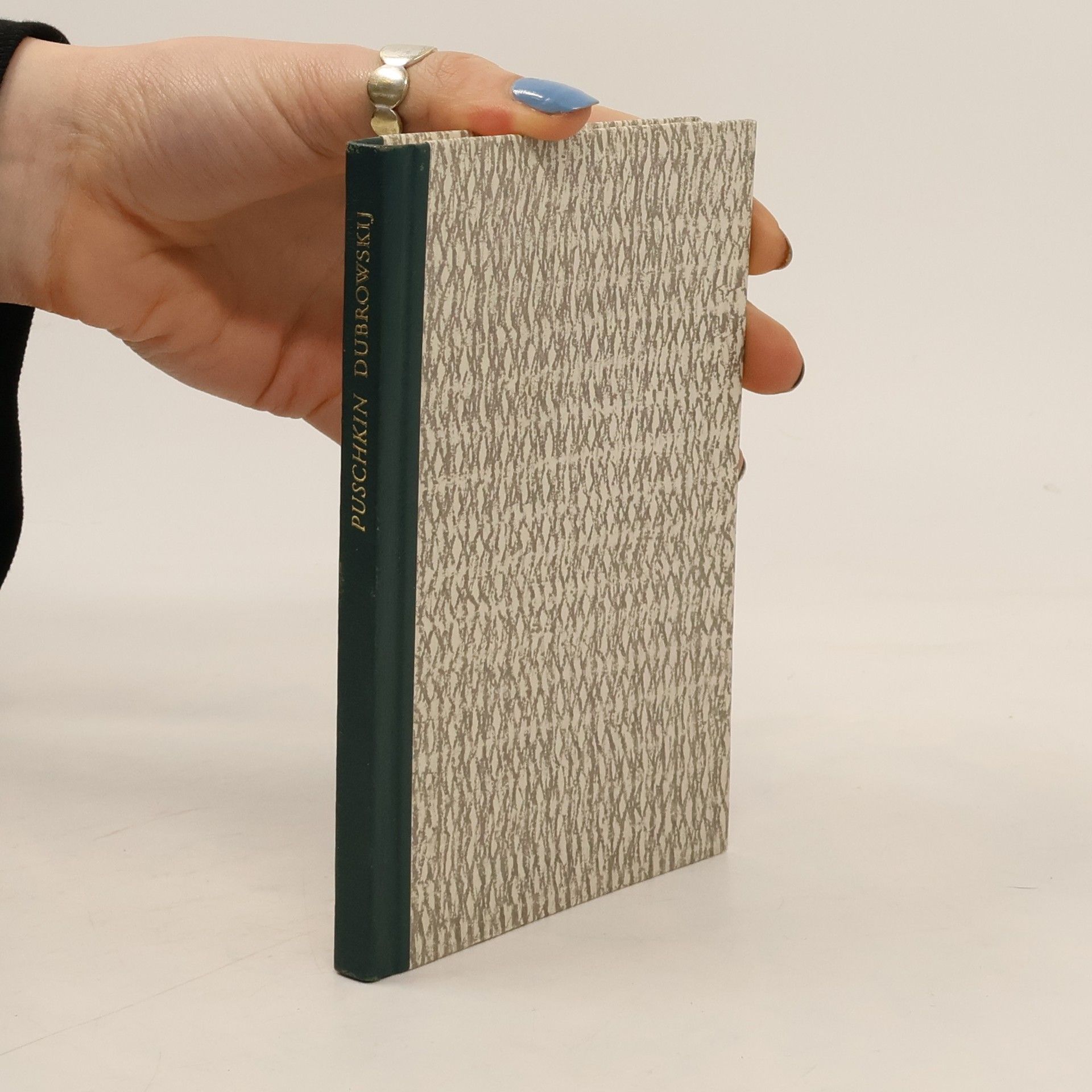 Aleksandr Sergejevič Puškin Dubrowskij