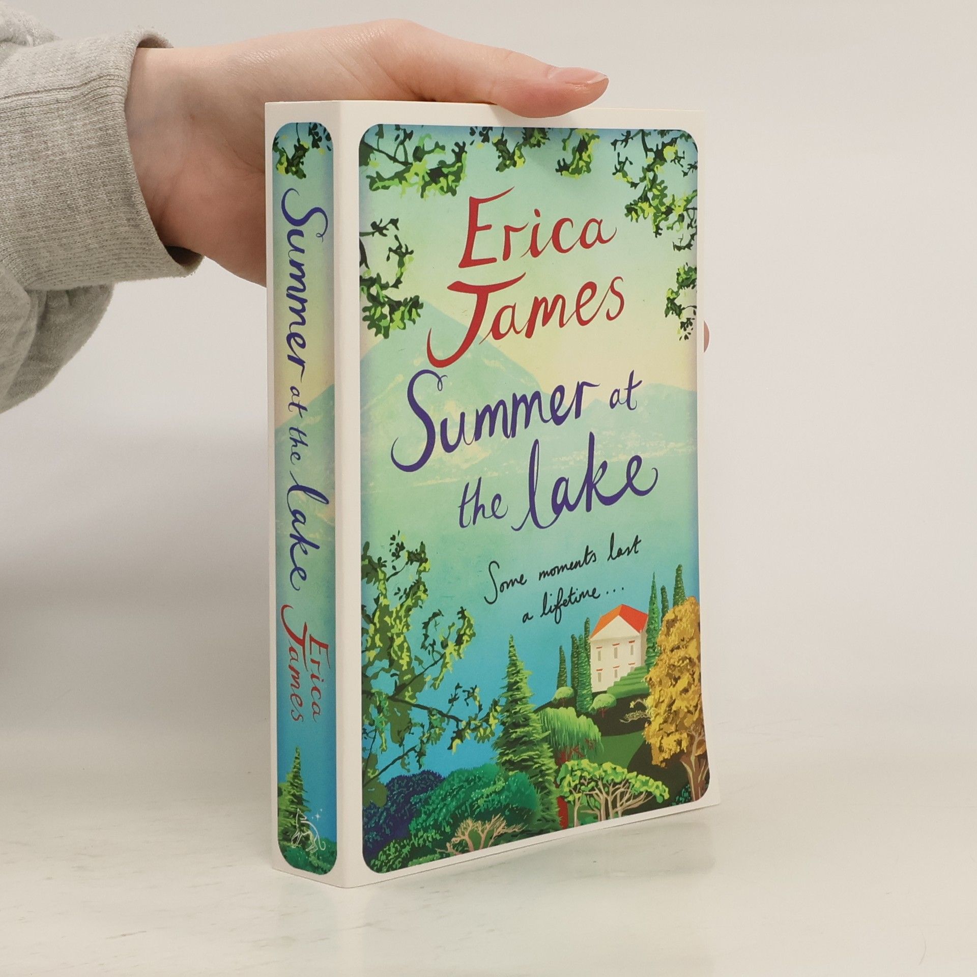 Erica James Summer at the lake