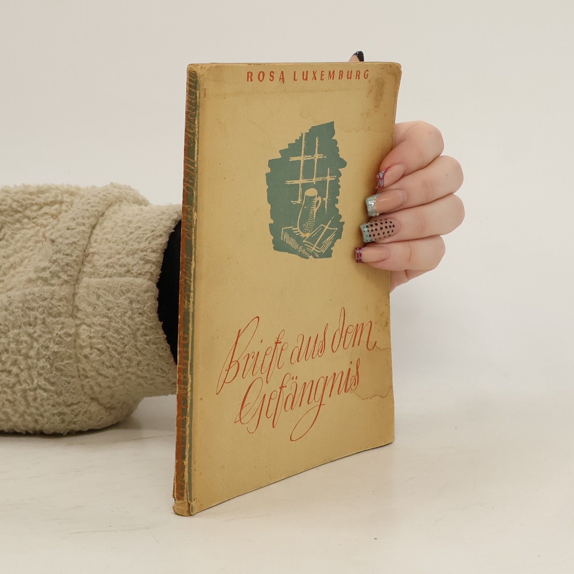 Rosa Luxemburg Briefe aus dem Gefängnis