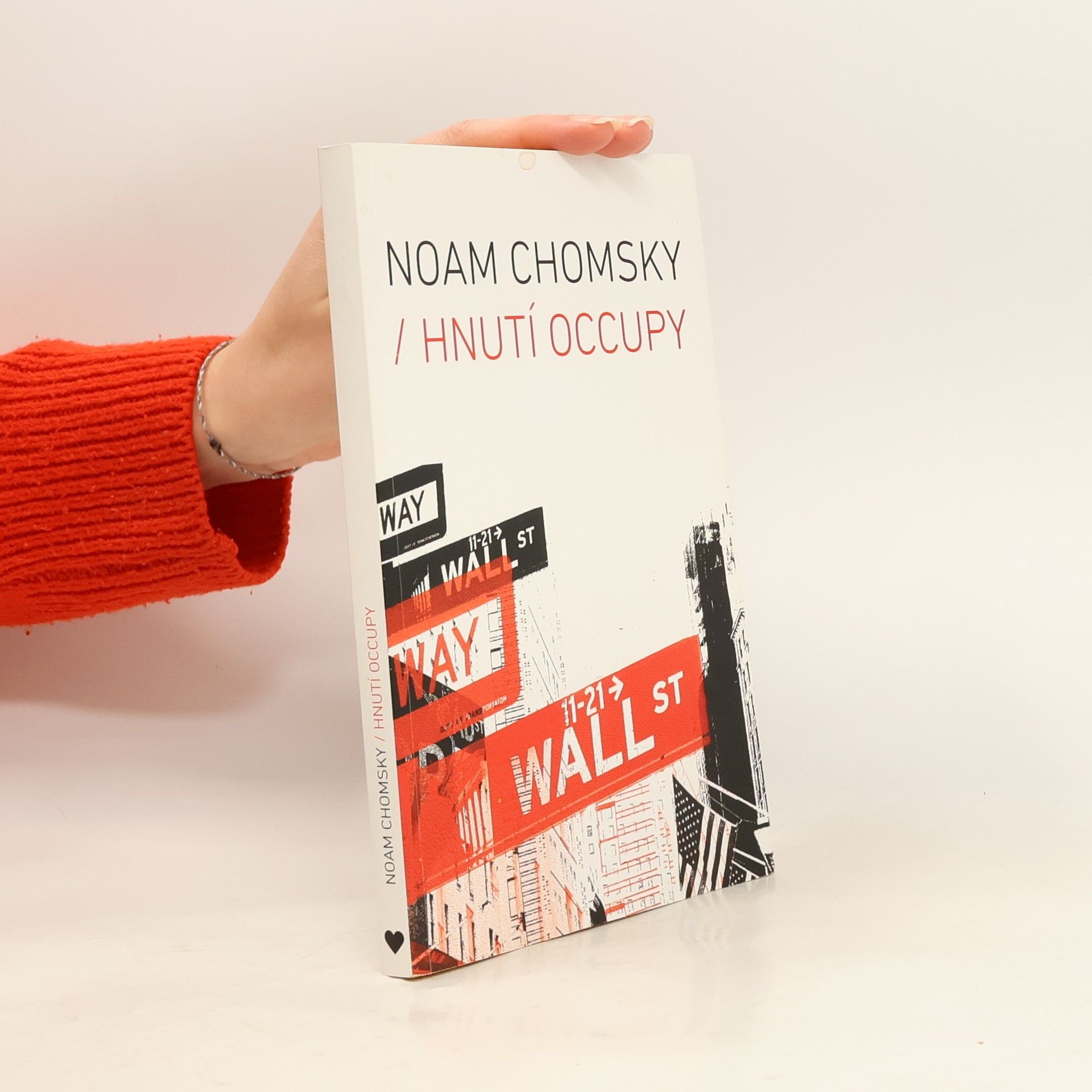 Noam Chomsky Hnutí Occupy