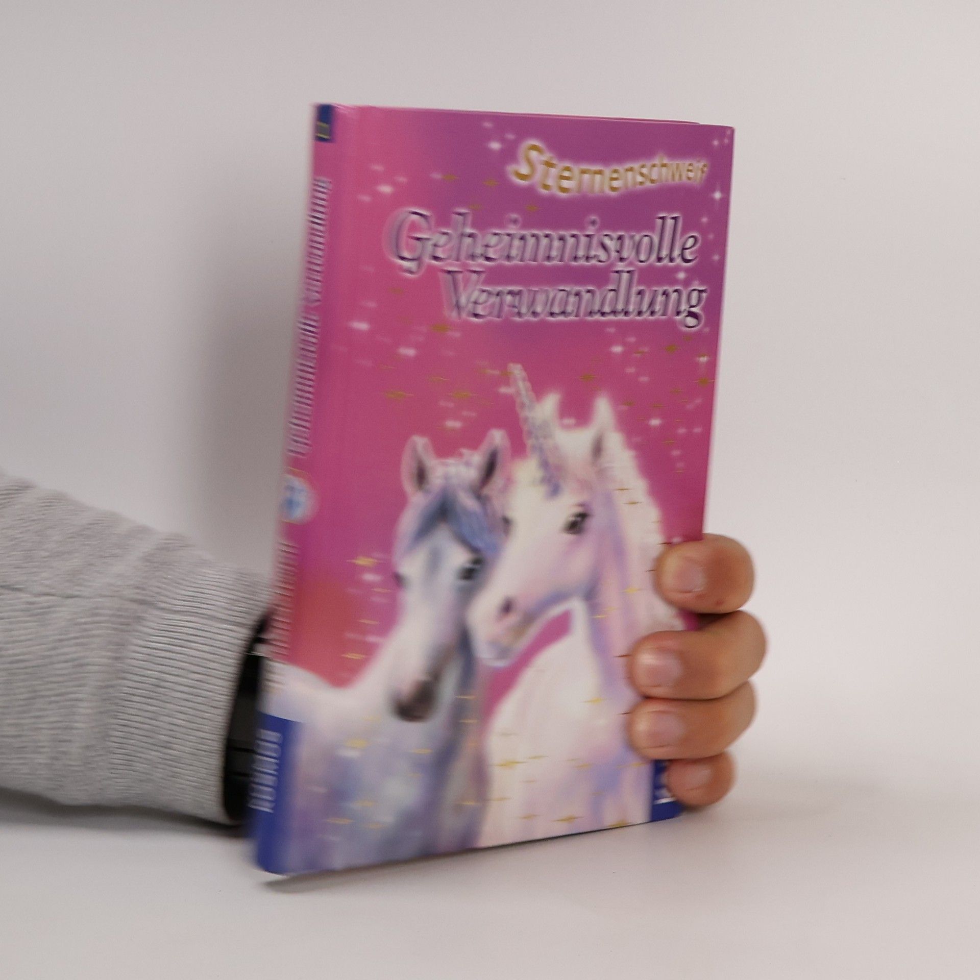 Linda Chapman Geheimnisvolle Verwandlung