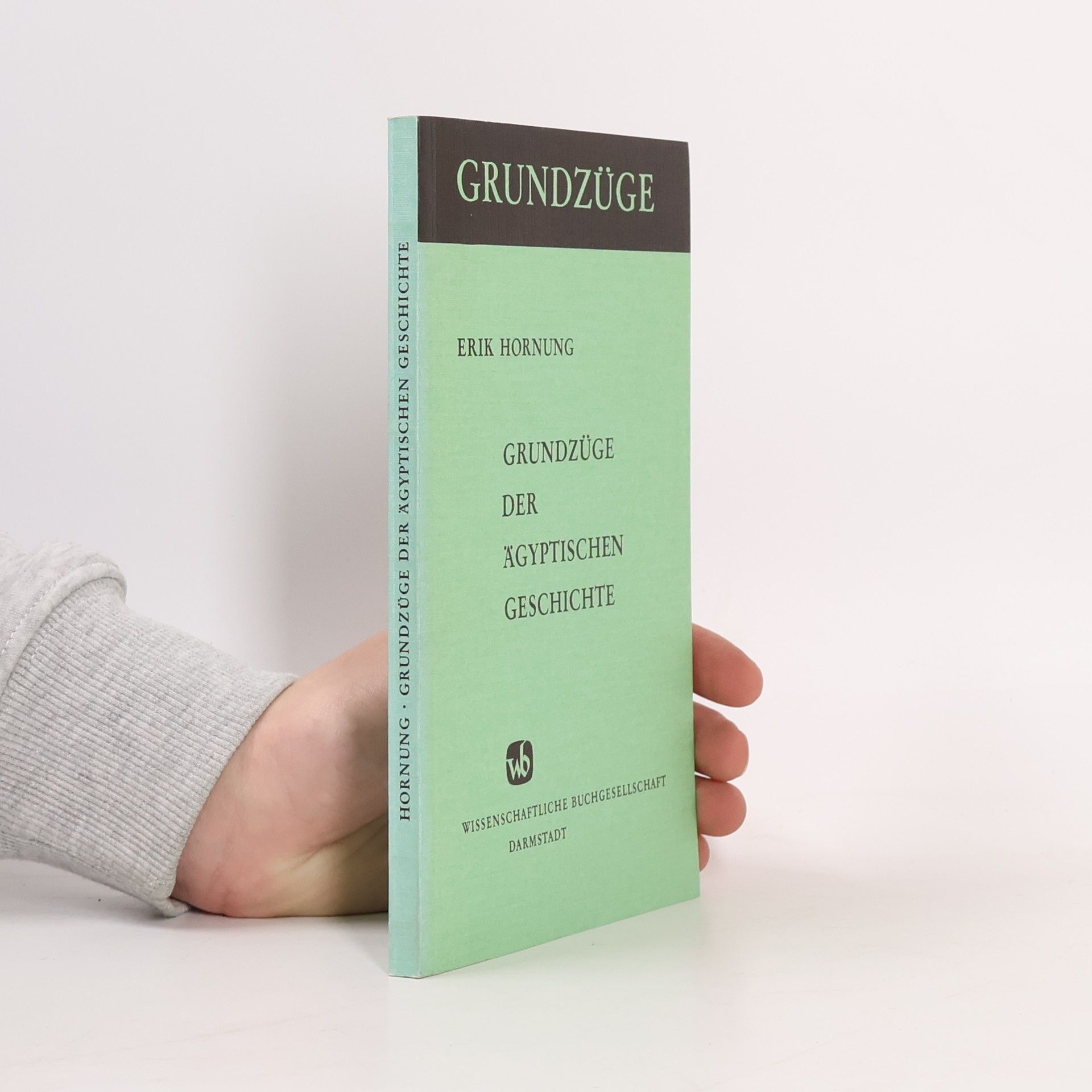 Erik Hornung Grundzüge der ägyptischen Geschichte