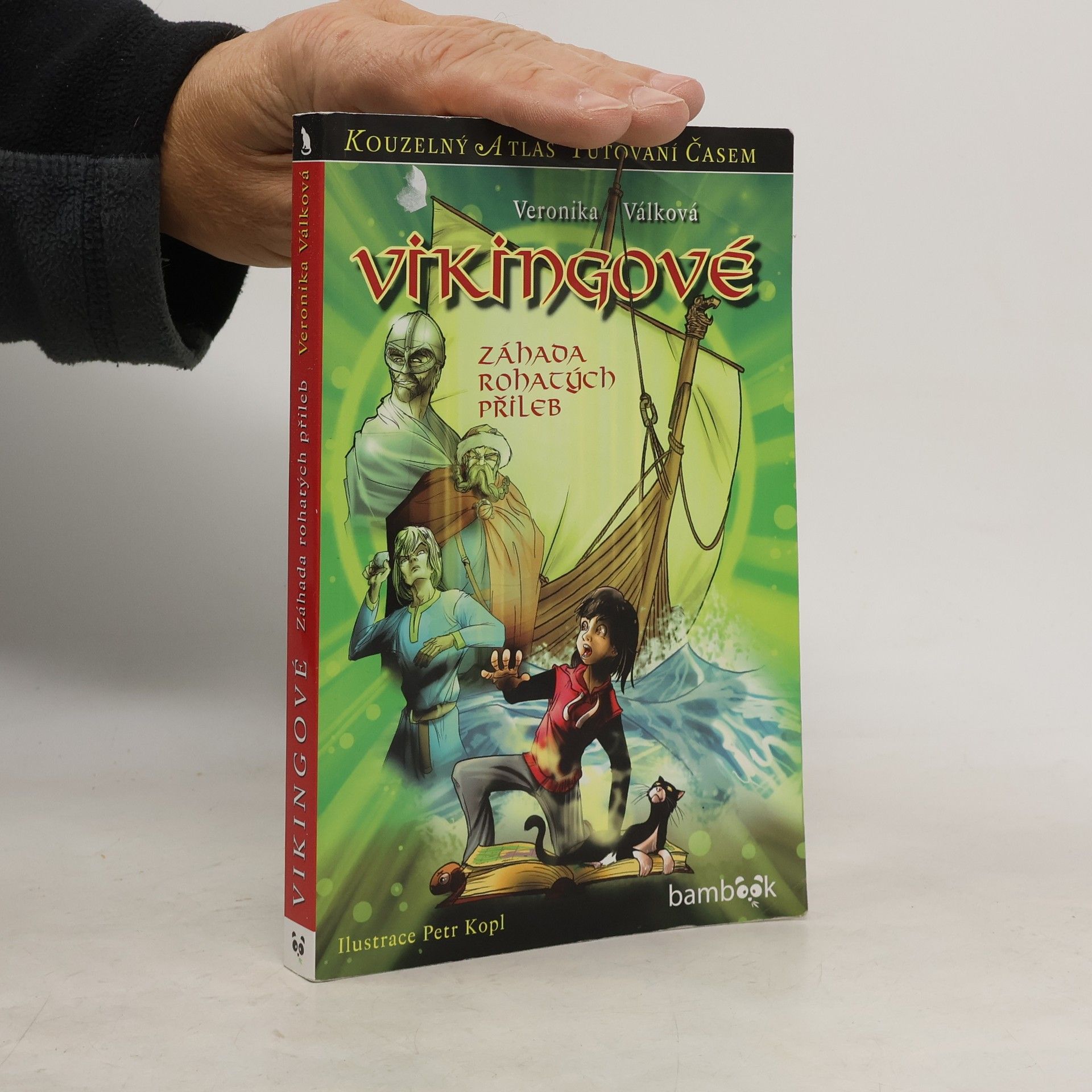 Veronika Válková Vikingové : záhada rohatých přileb