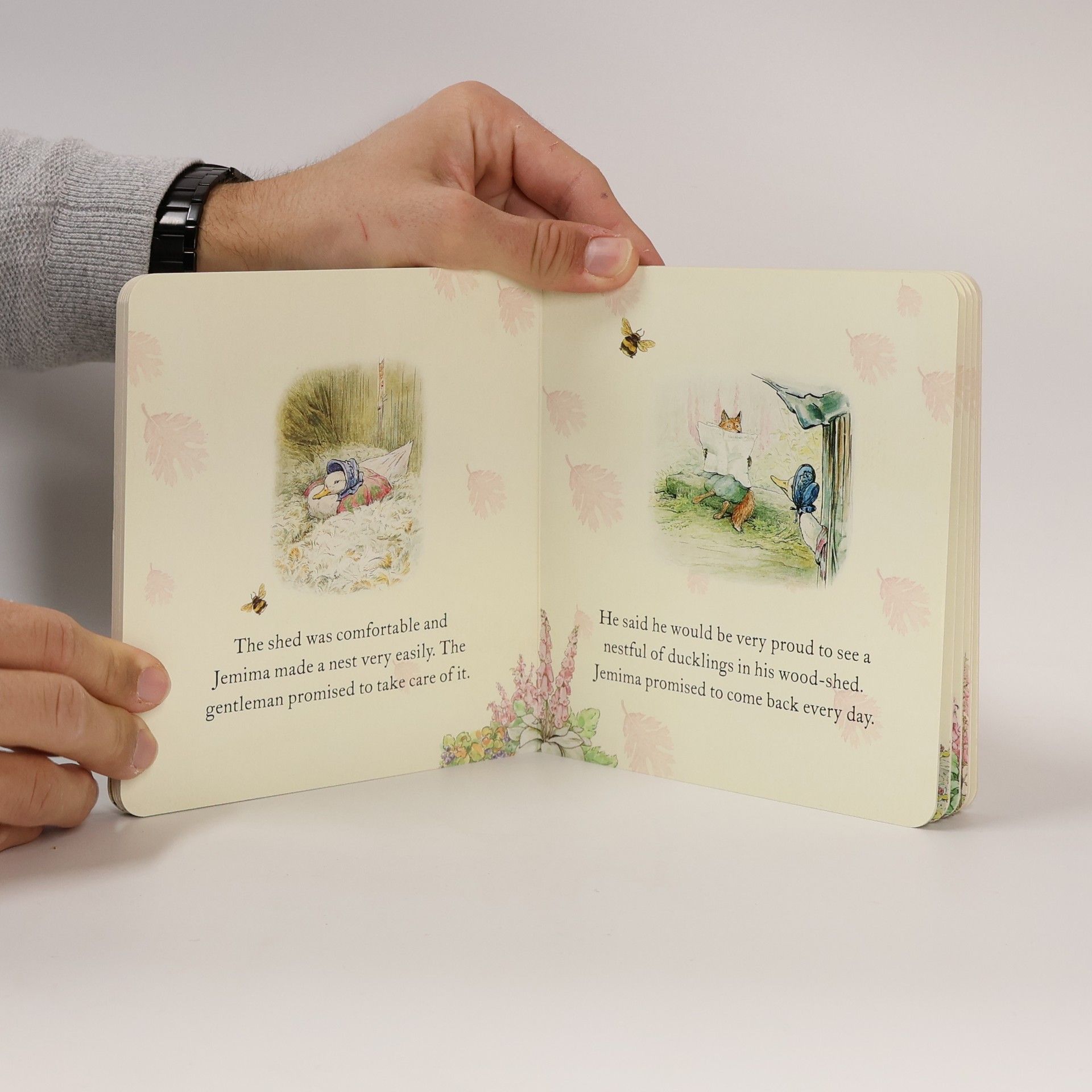 Beatrix Potter The tale of Jemima Puddle-Duck