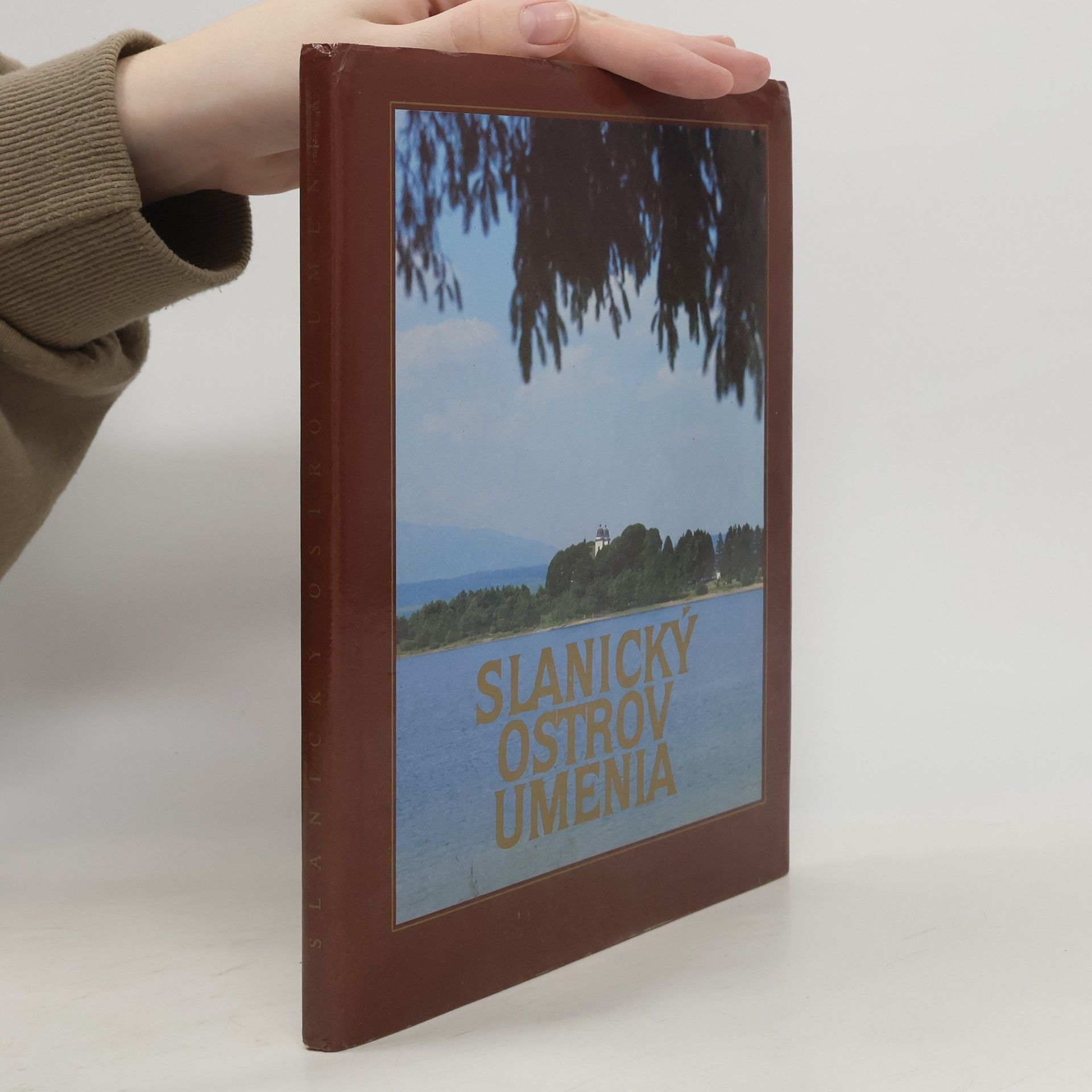 Eva Ľuptáková Slanický ostrov umenia