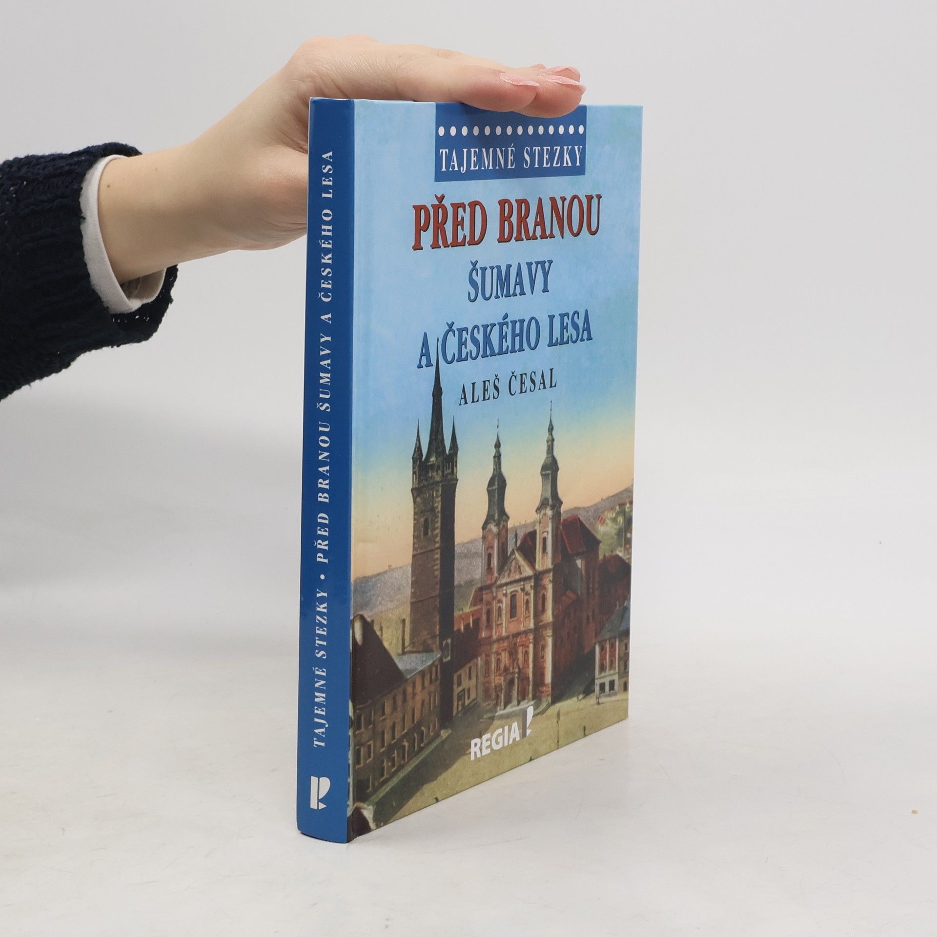 Aleš Česal Před branou Šumavy a Českého lesa