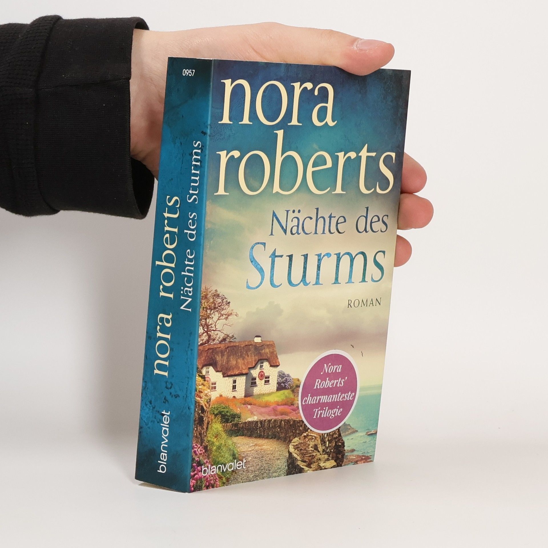 Nora Roberts Nächte des Sturms