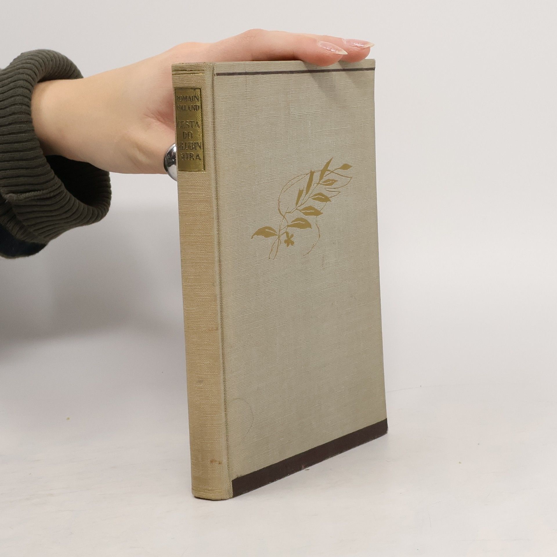 Romain Rolland Cesta do hlubin nitra