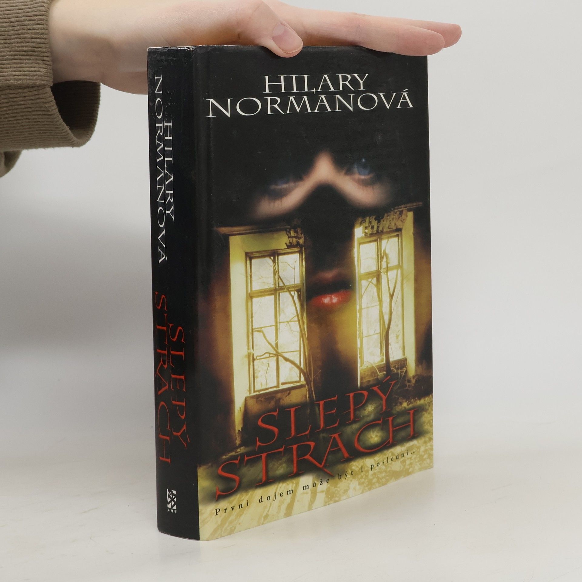 Hilary Norman Slepý strach