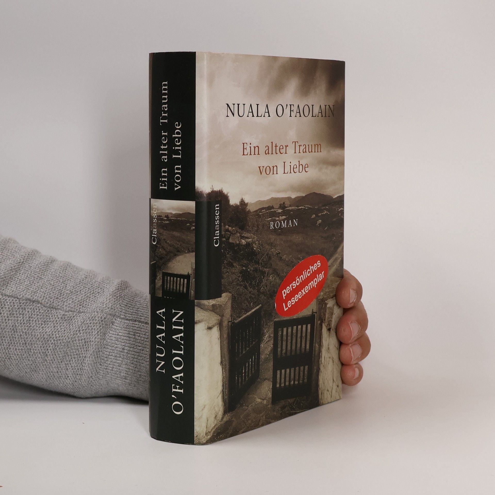 Nuala O. Faolain Ein alter Traum von Liebe