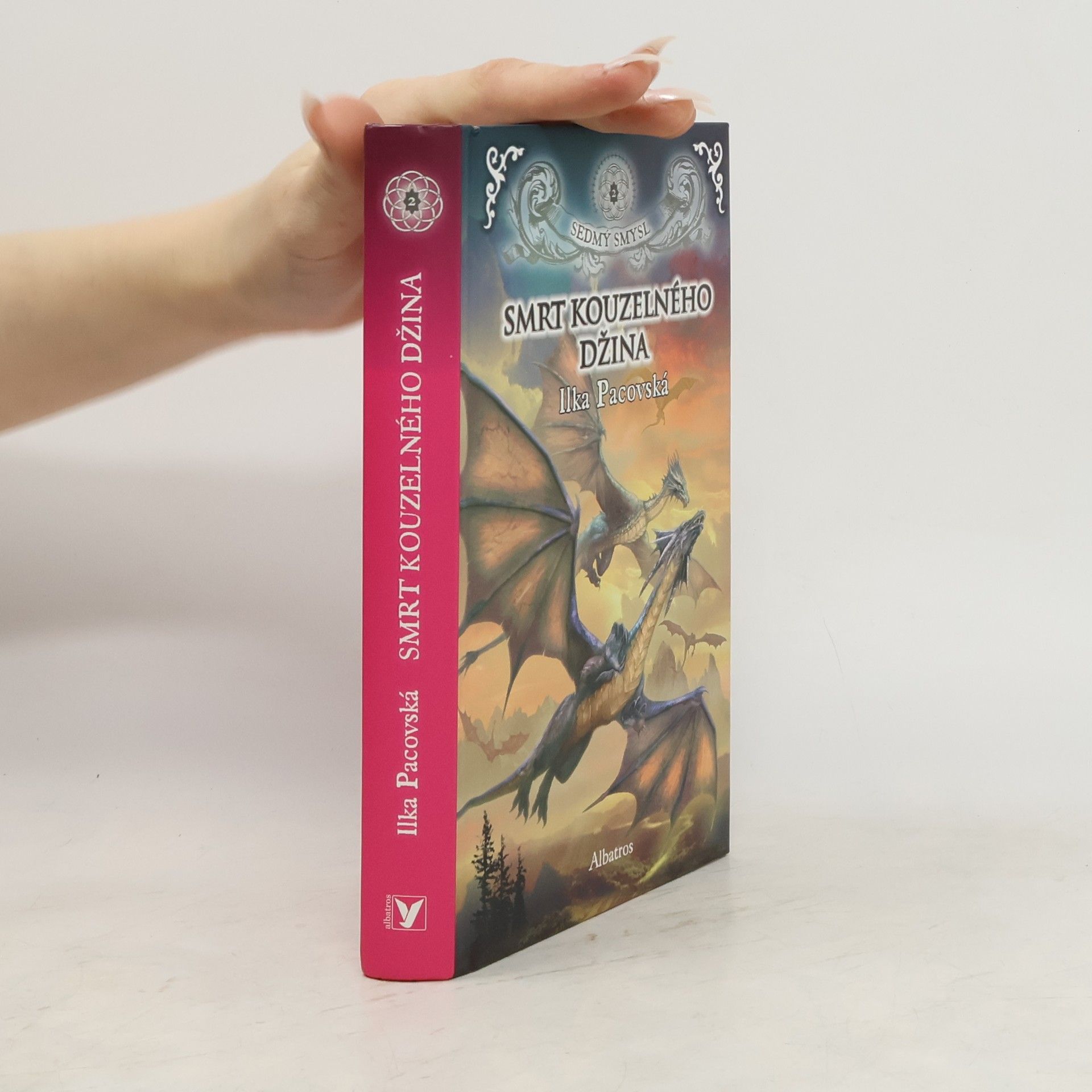 Smrt kouzelného džina. Sedmý smysl 2