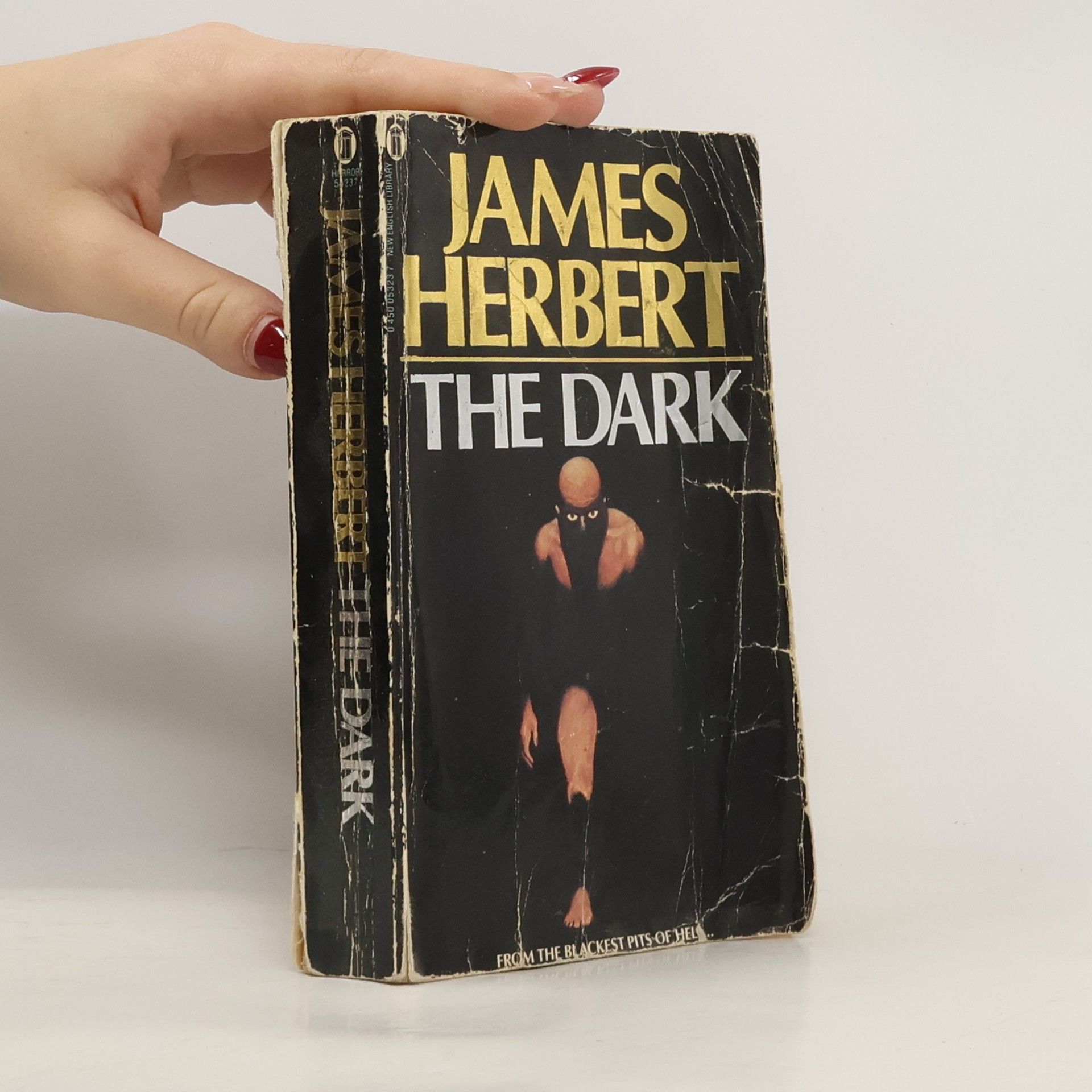 James Herbert The Dark