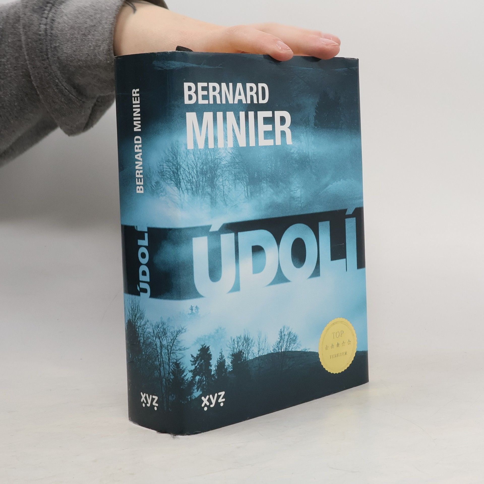 Bernard Minier Údolí