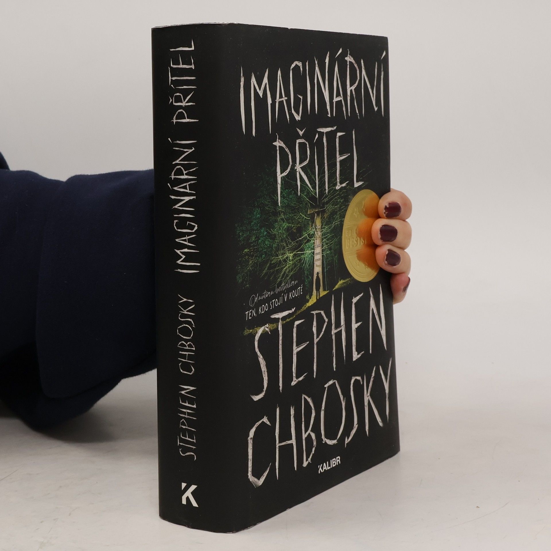 Stephen Chbosky Imaginární přítel
