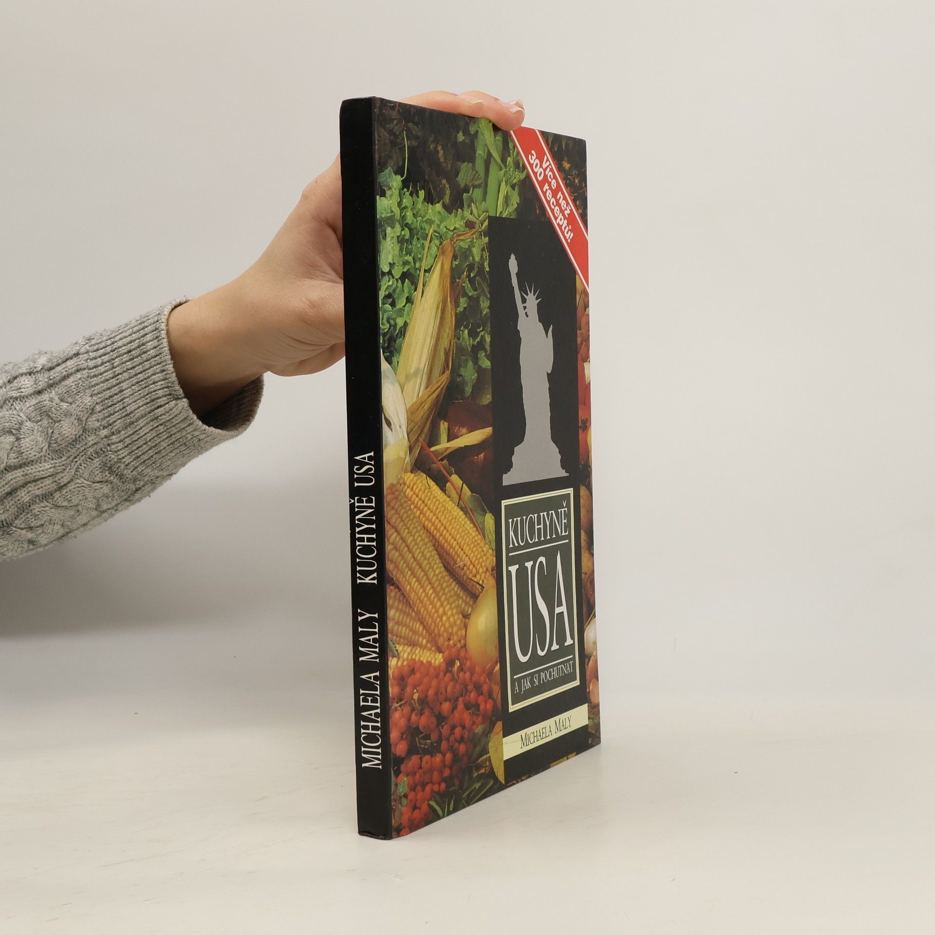 Michaela Maly Kuchyně USA a jak si pochutnat