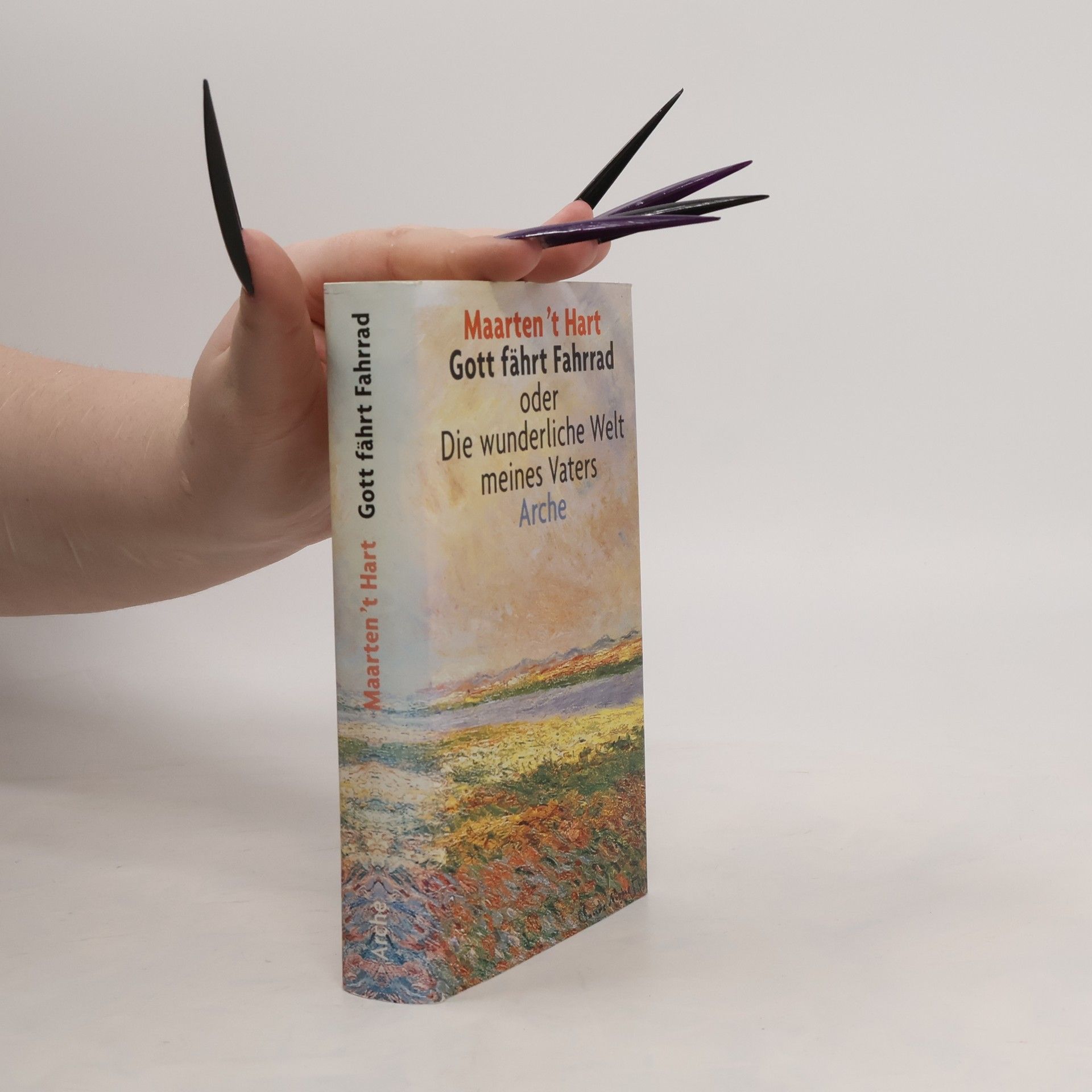 Maarten 't Hart Gott fährt Fahrrad oder die wunderliche Welt meines Vaters