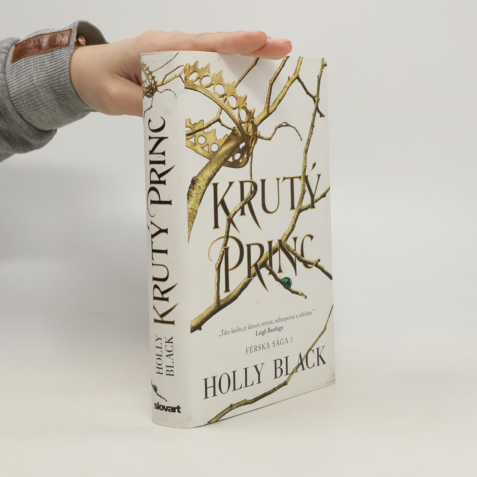 Holly Black Krutý princ