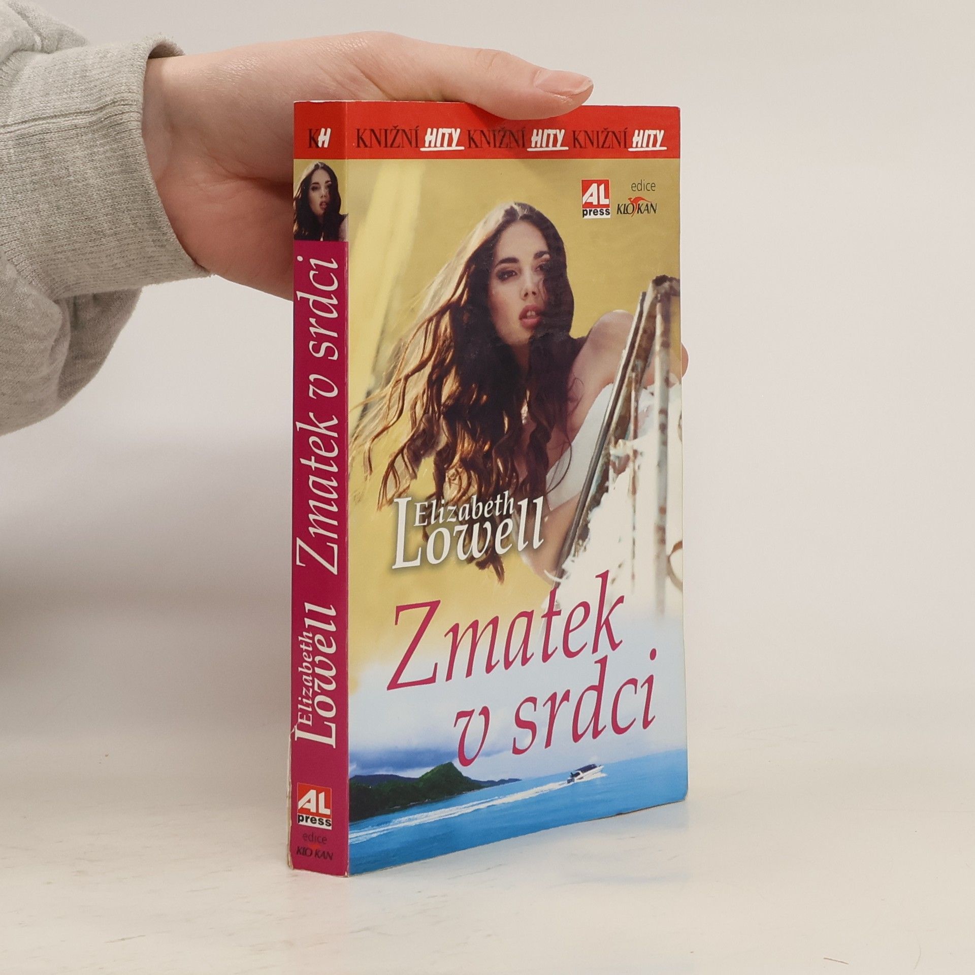 Elizabeth Lowell Zmatek v srdci