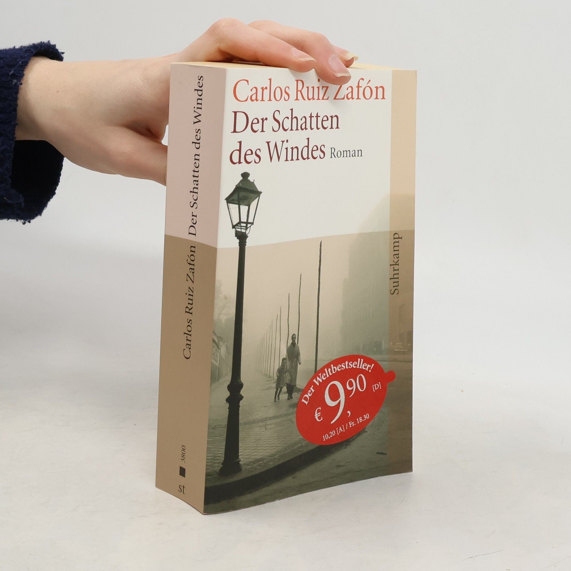 Carlos Ruiz Zafón Der Schatten des Windes