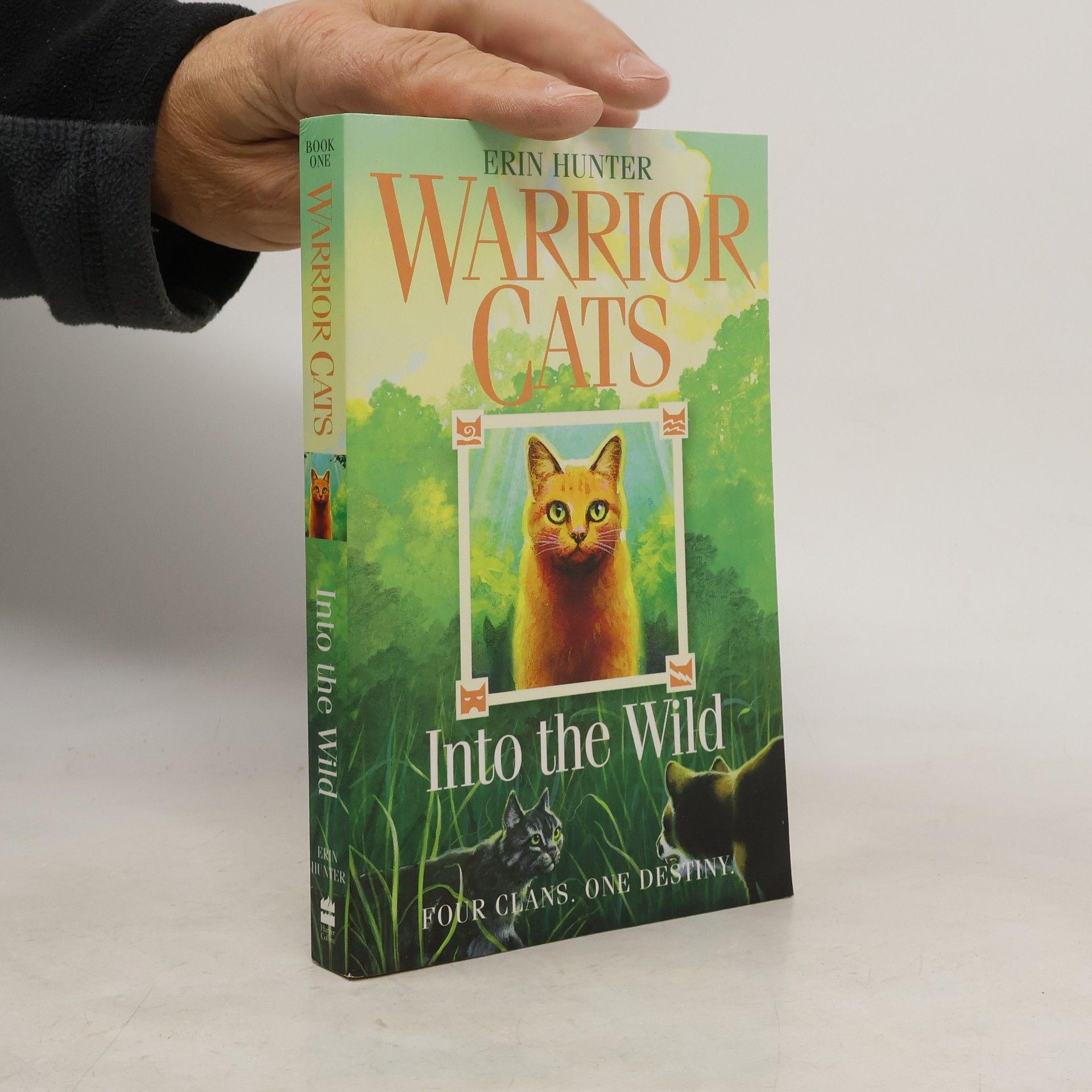 Erin Hunter Warrior Cats: Into the Wild