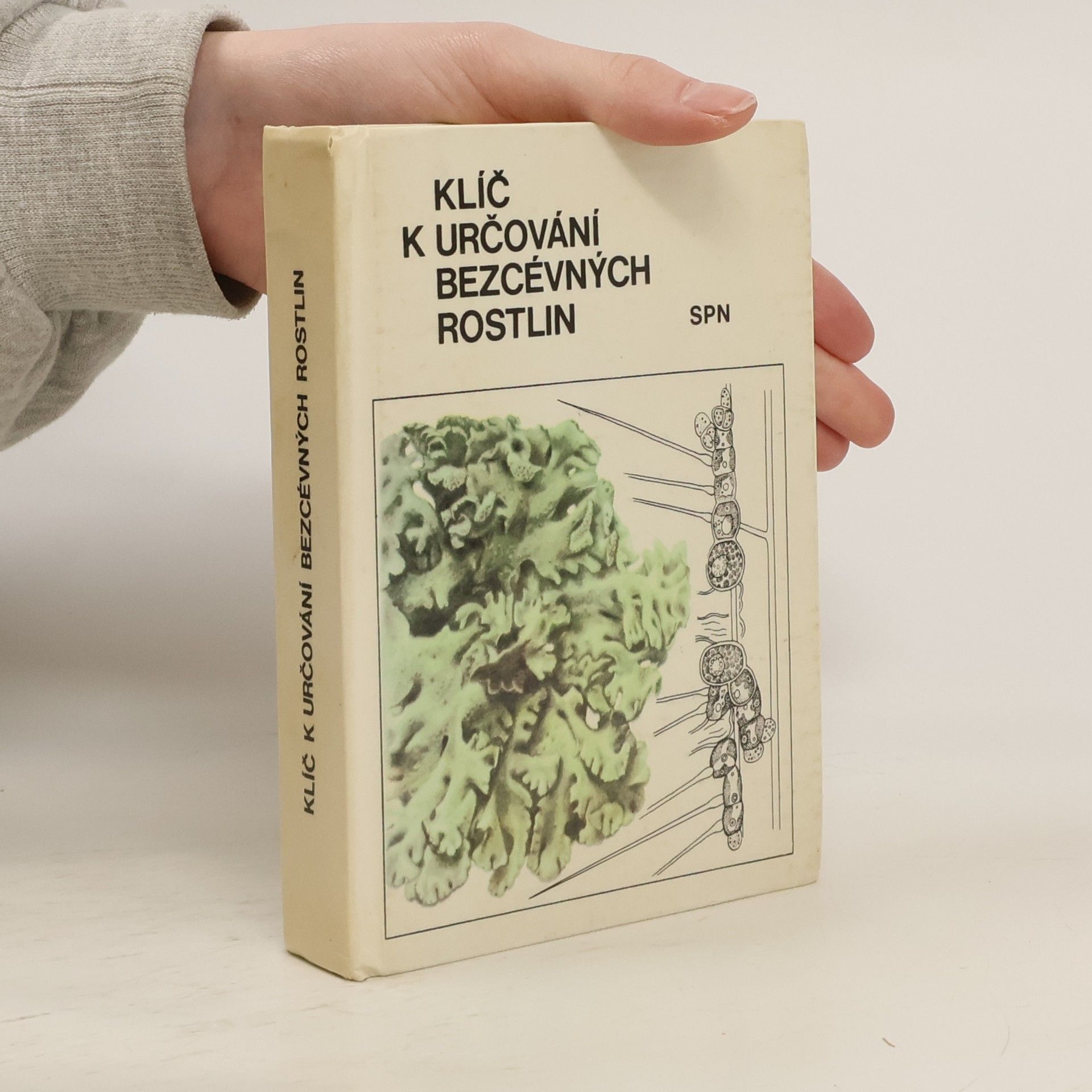 Mirko Svrček Klíč k určování bezcévných rostlin