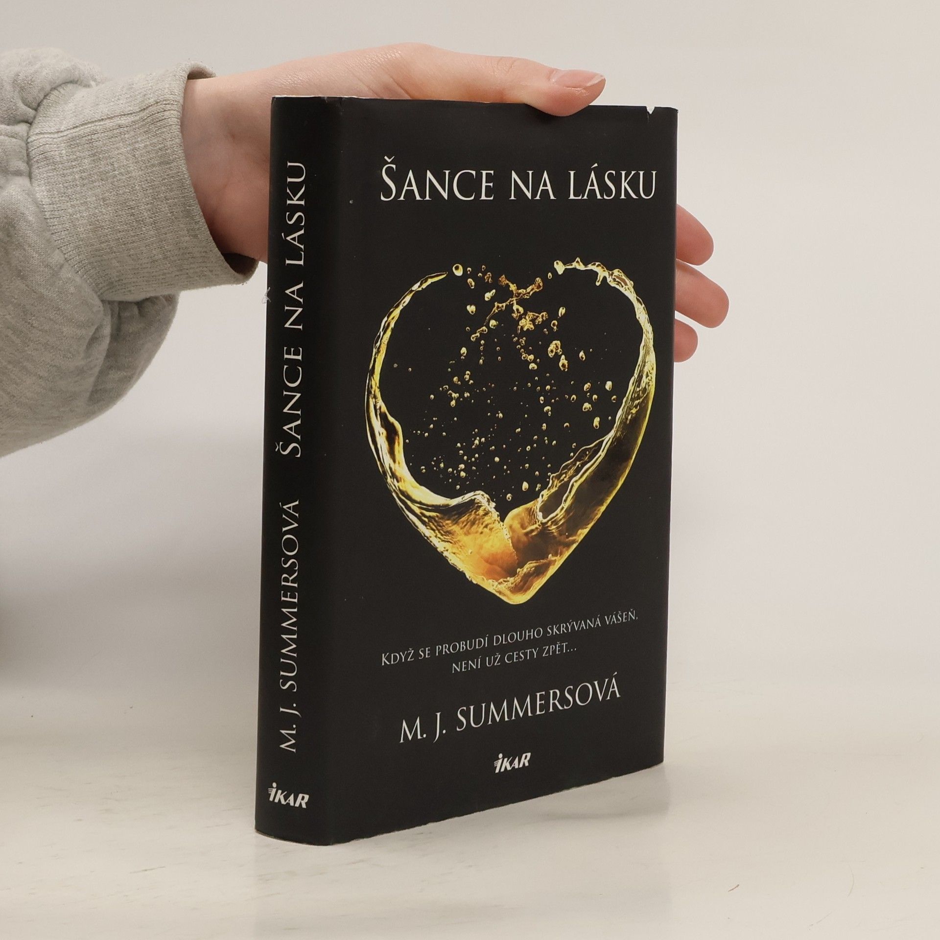 M. J. Summers Šance na lásku