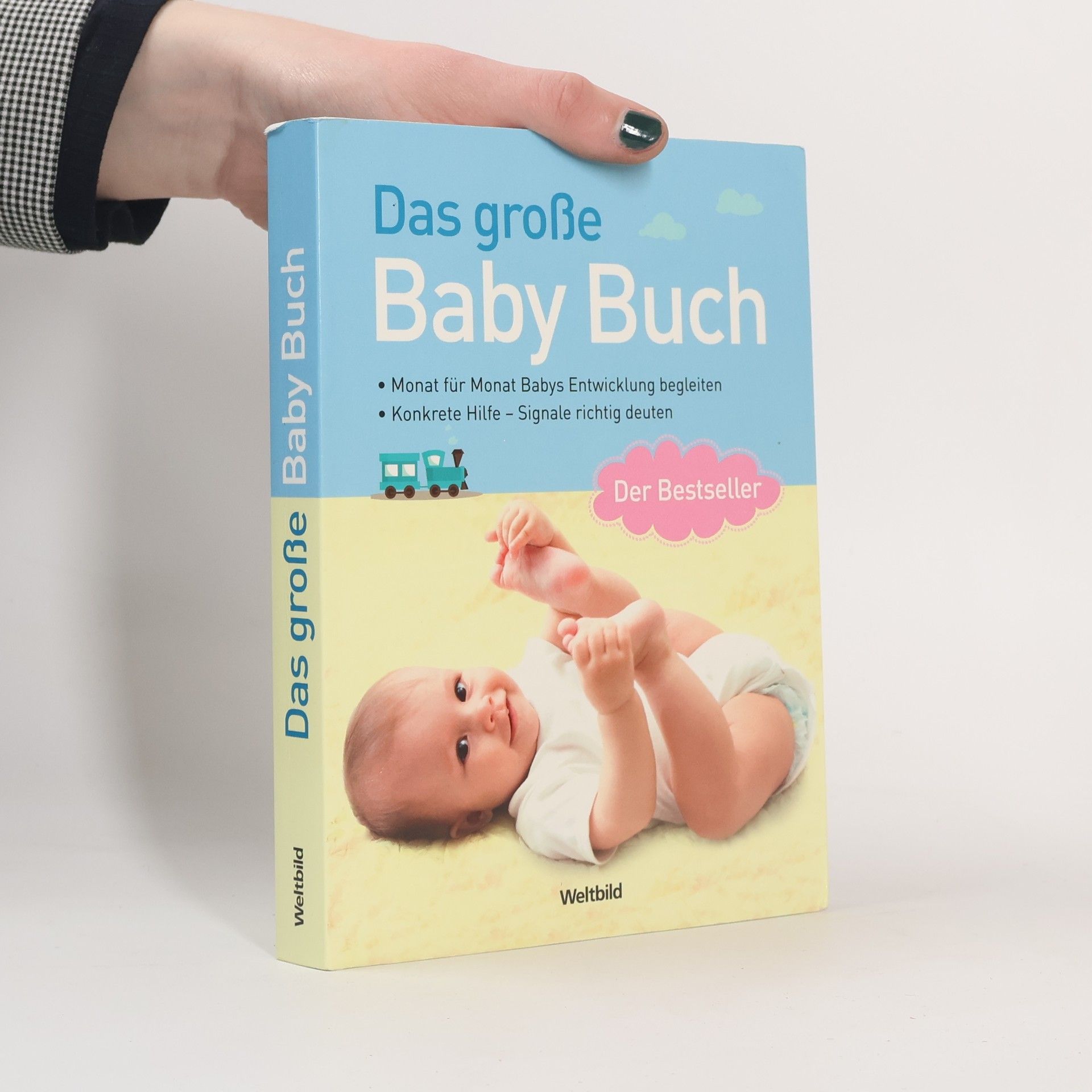 Das große Baby-Buch