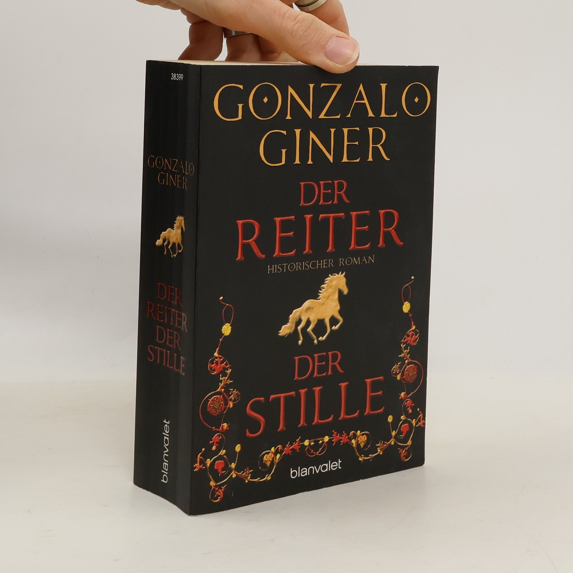 Gonzalo Giner Der Reiter der Stille