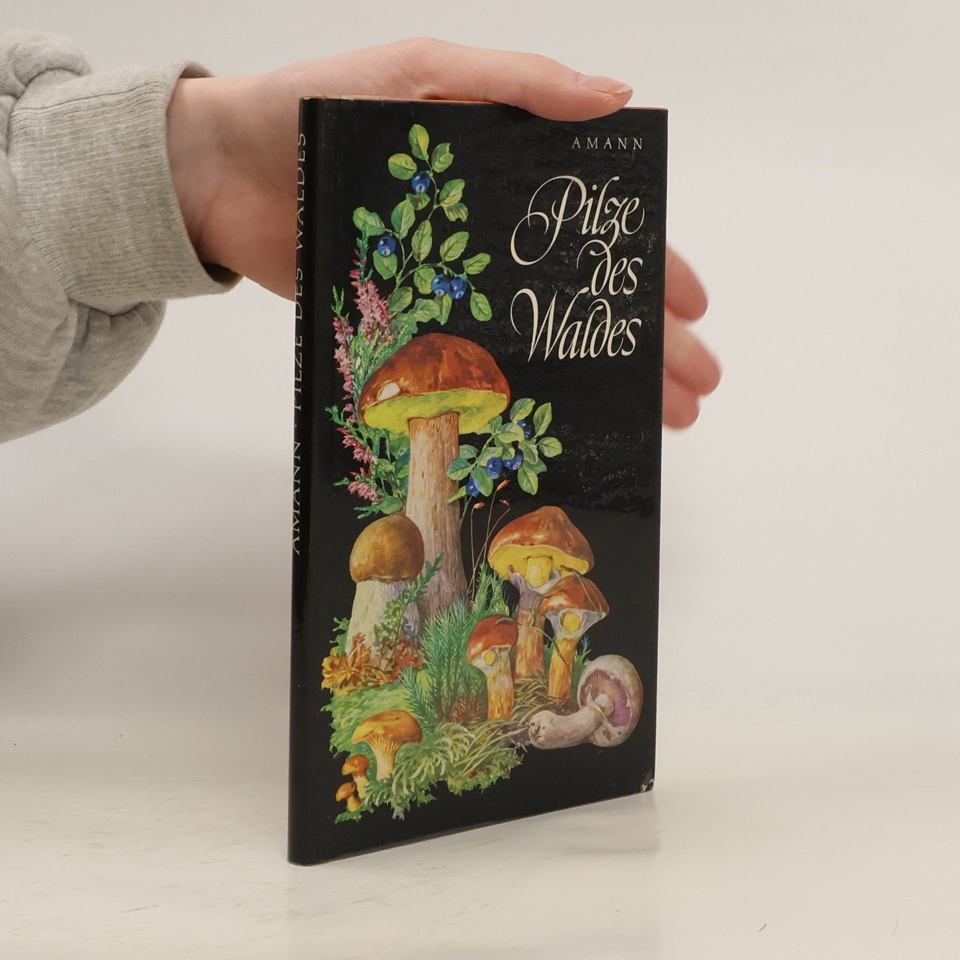 Gottfried Amann Pilze des Waldes