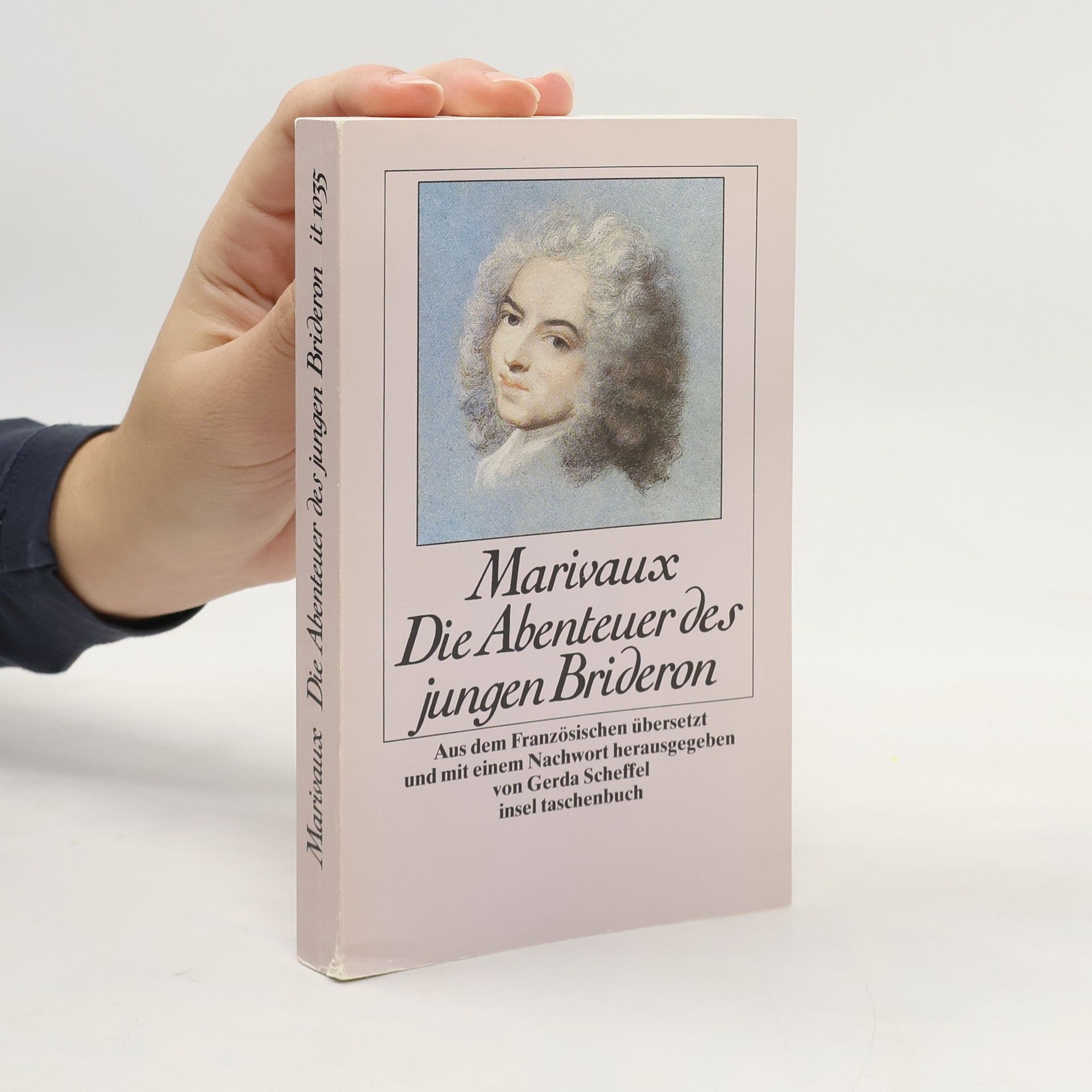 Die Abenteuer des jungen Brideron