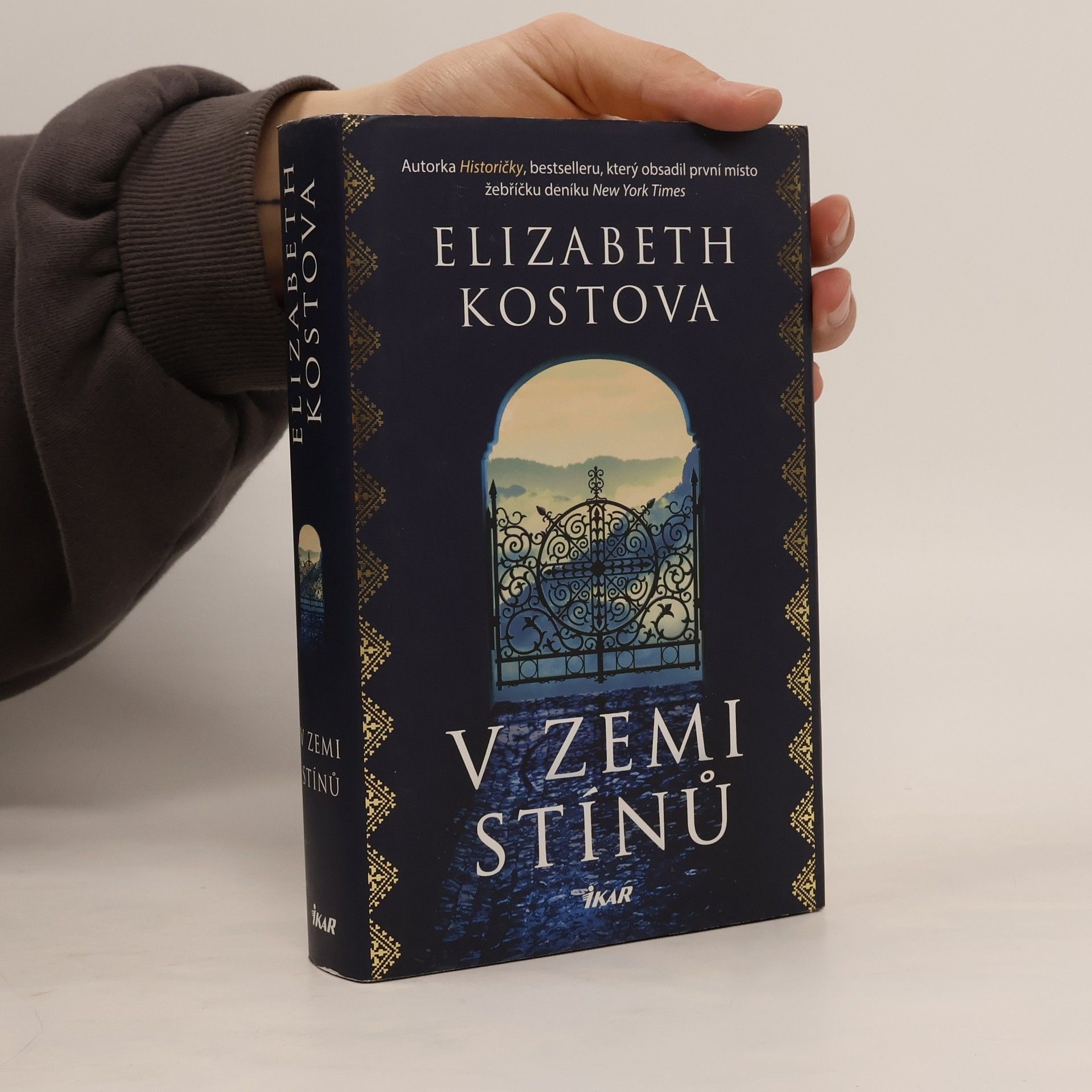Elizabeth Kostova V zemi stínů