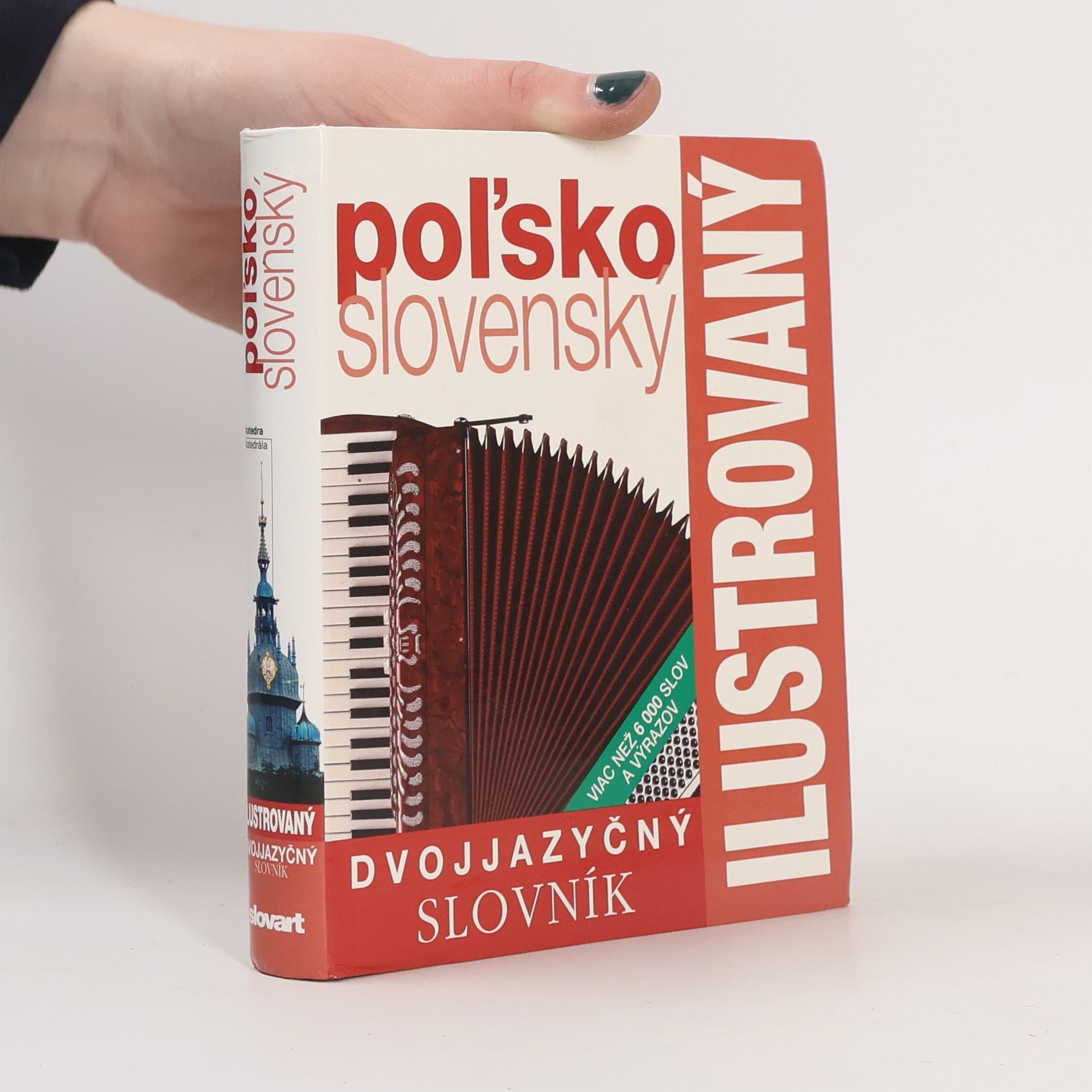 Auteurscollectief Dvojjazyčný slovník poľsko-slovenský