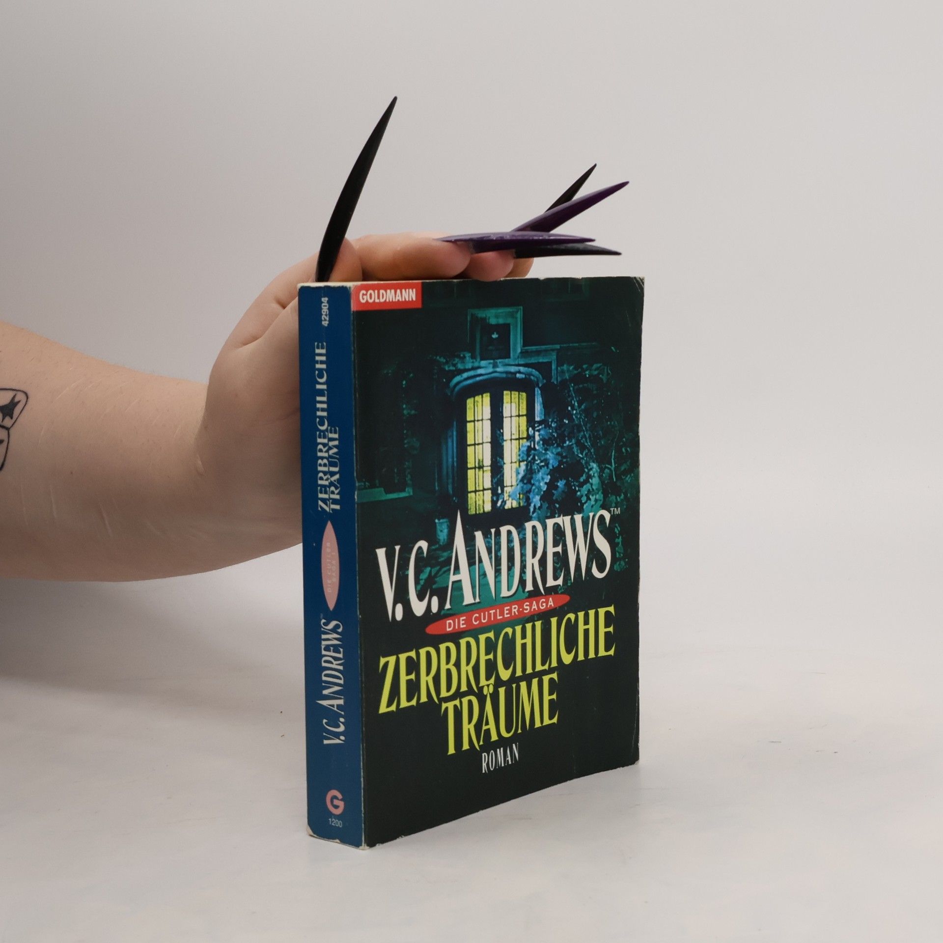 Virginia Cleo Andrews Zerbrechliche Träume. Roman