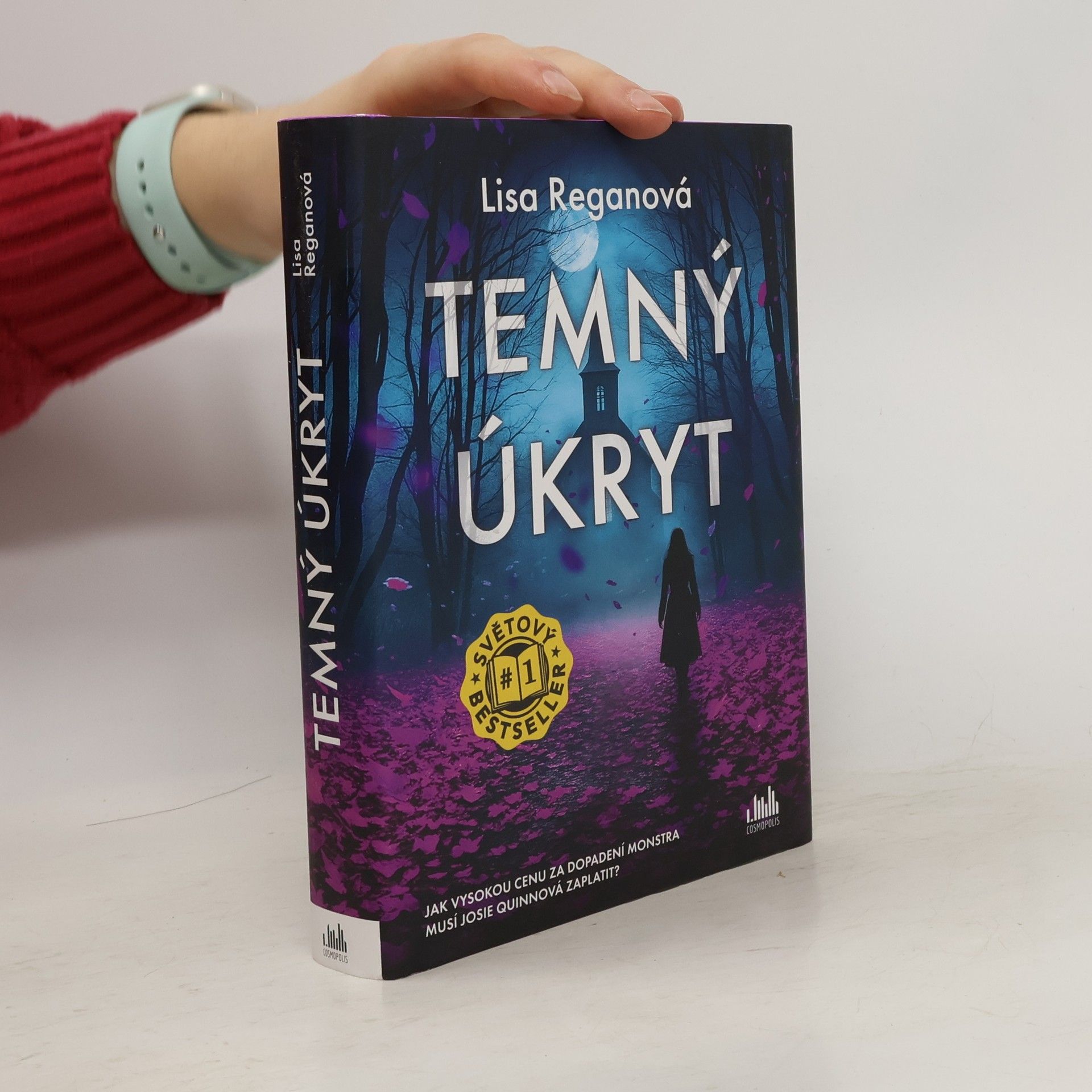 Lisa Regan Temný úkryt