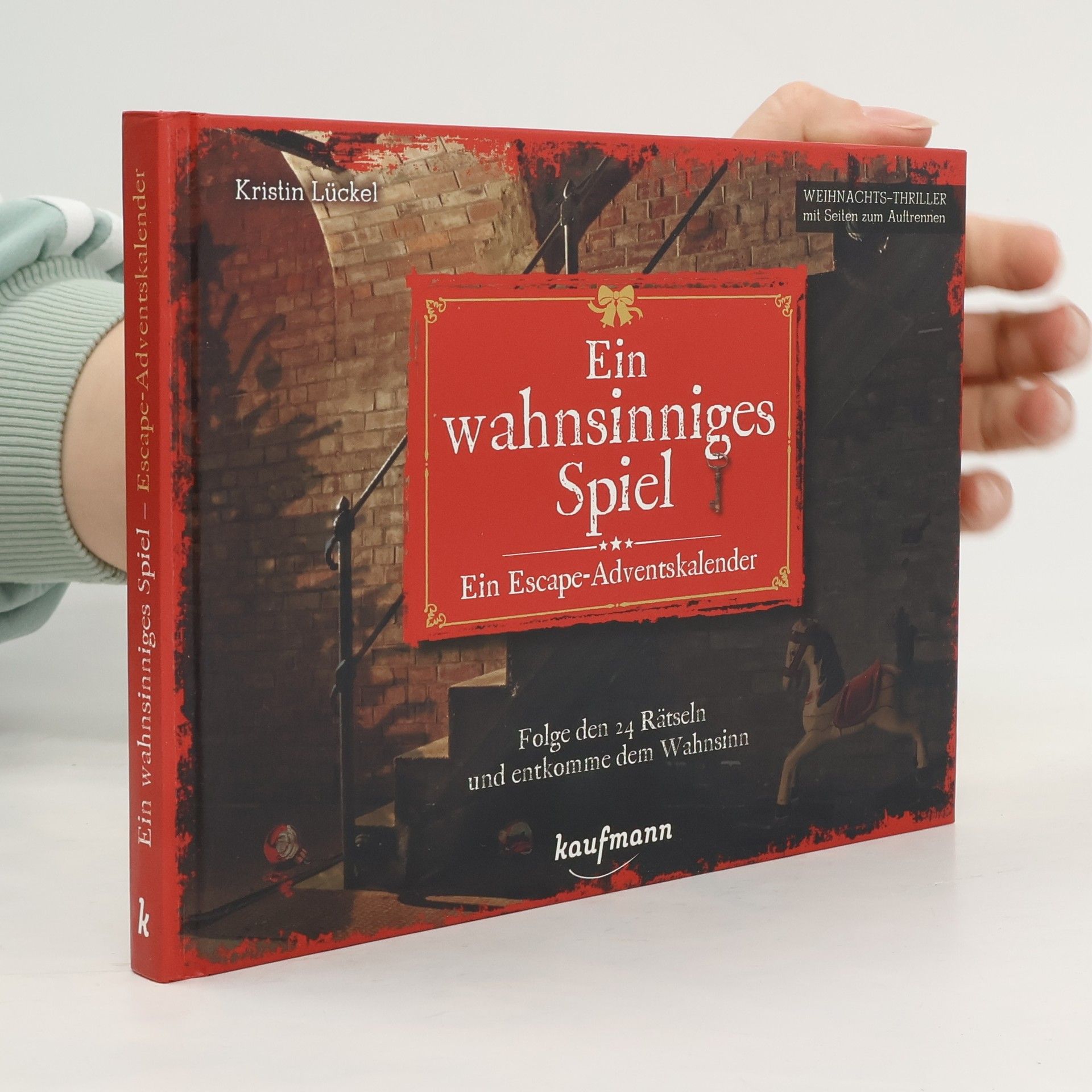 Kristin Lückel Ein wahnsinniges Spiel - Ein Escape-Adventskalender. Folge den 24 Rätseln und entkomme dem Wahnsinn
