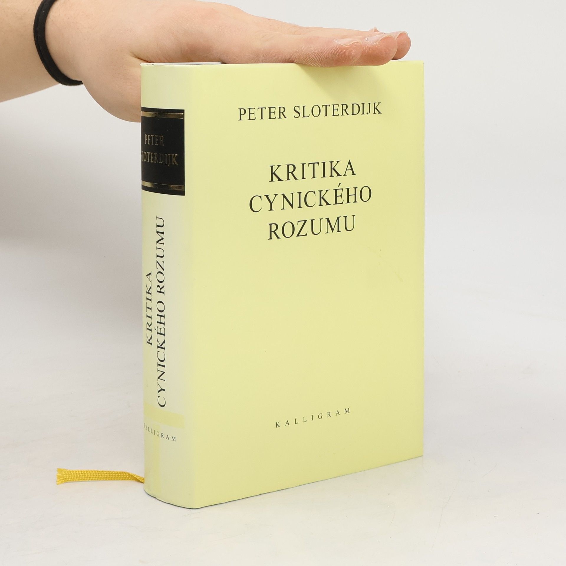 Peter Sloterdijk Kritika cynického rozumu