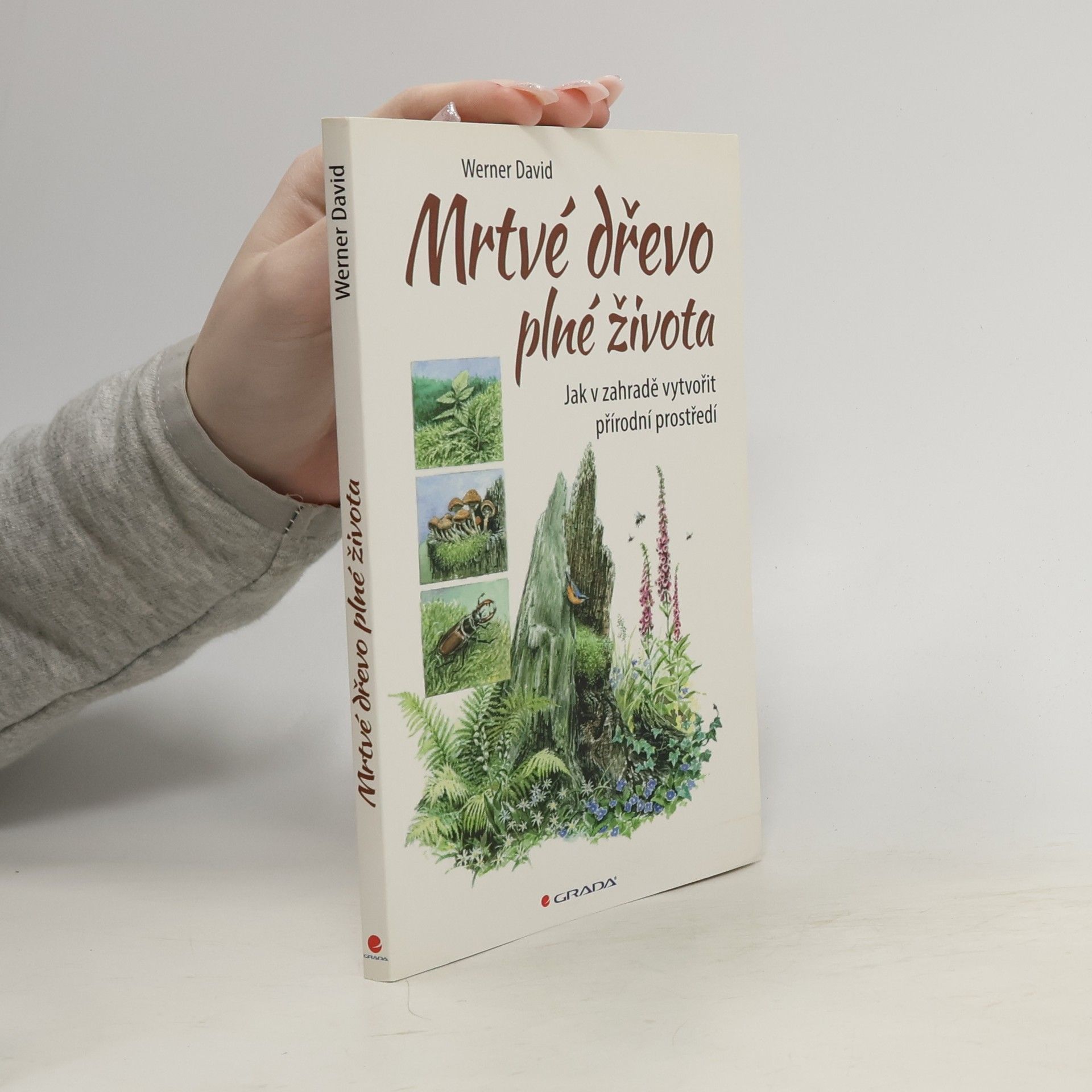 Mrtvé dřevo plné života