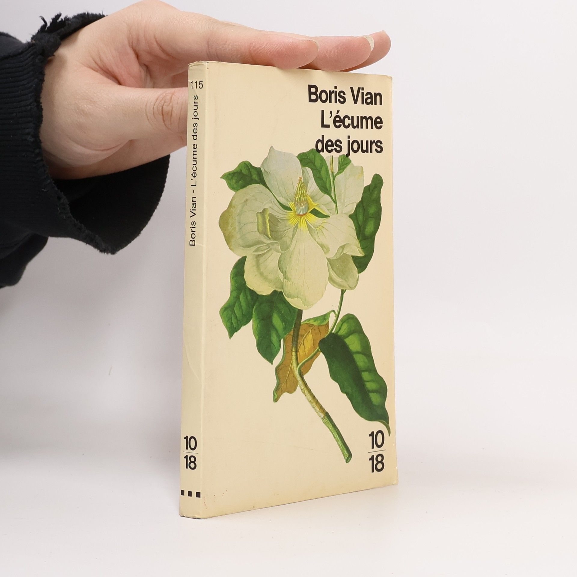 Boris Vian L' écume des jours