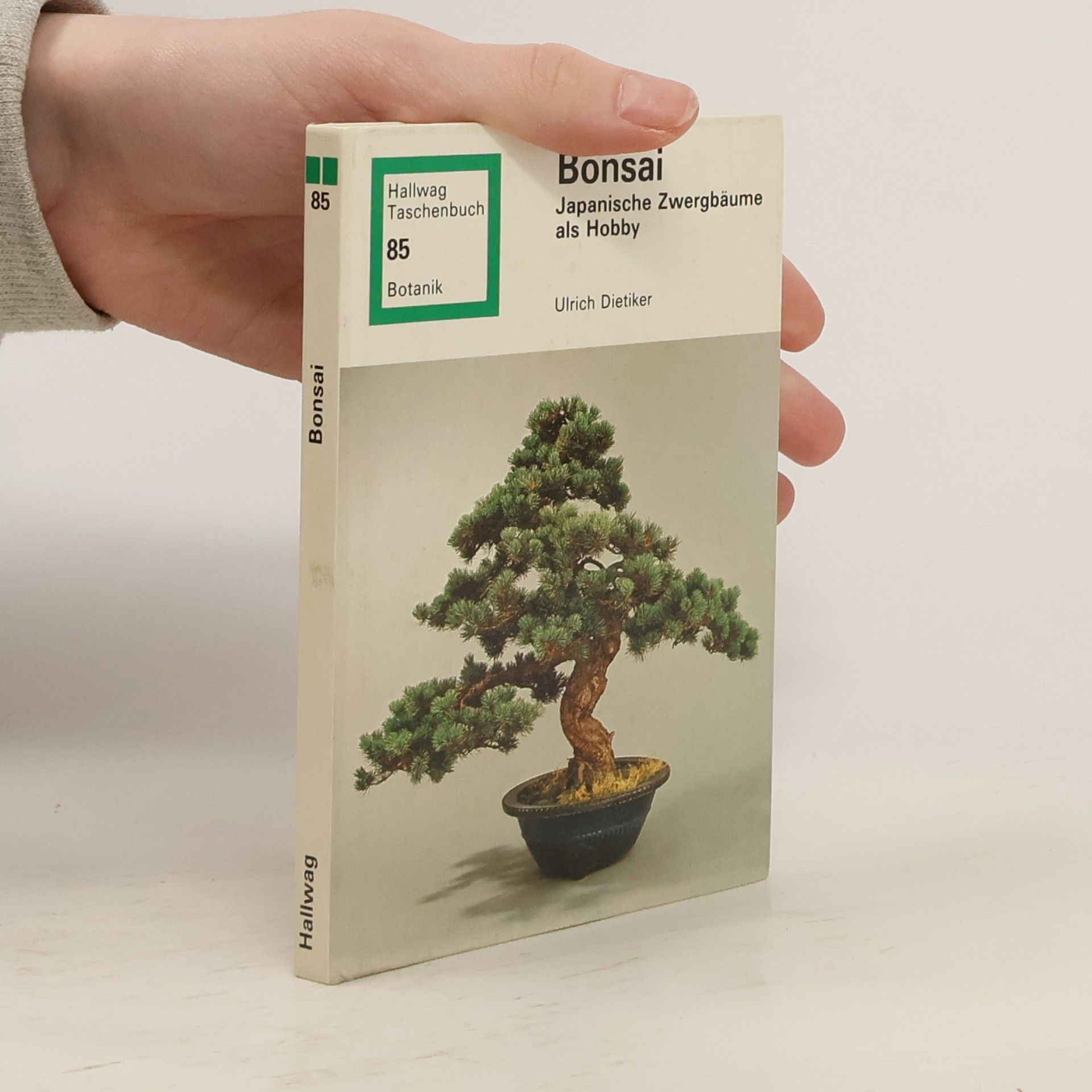 Ulrich Dietiker Bonsai