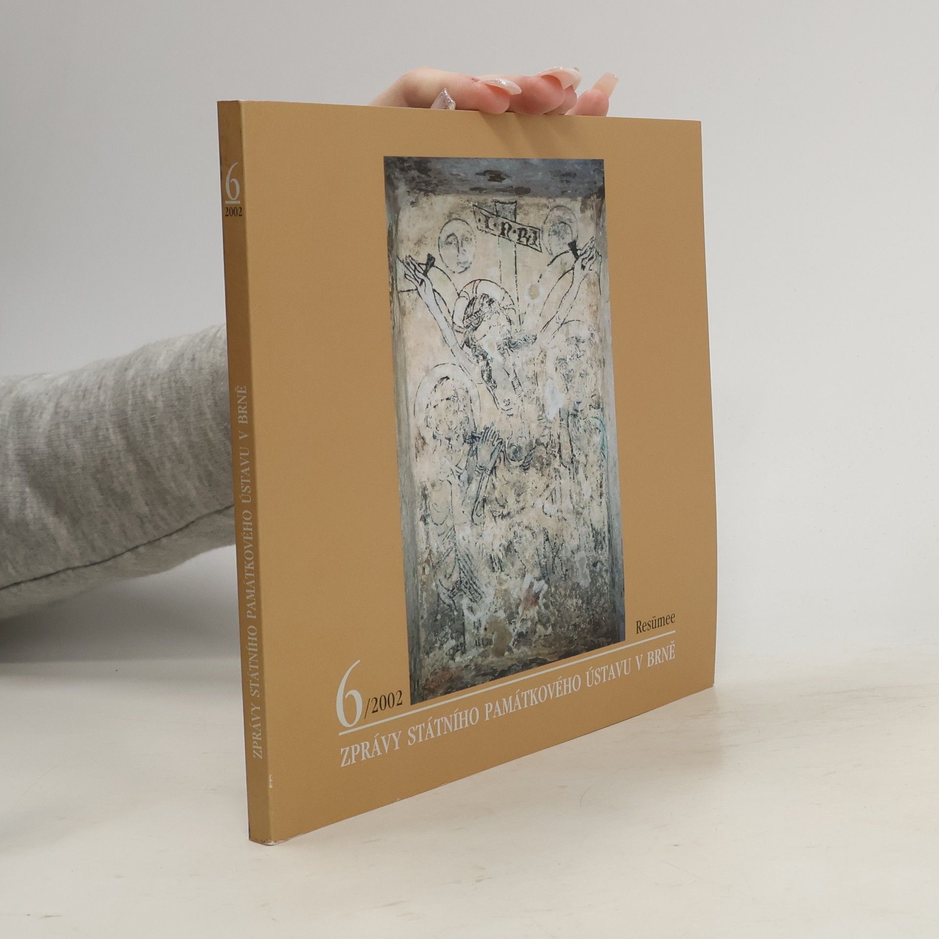 Kolektiv autorů Zprávy Státního památkového ústavu v Brně 6