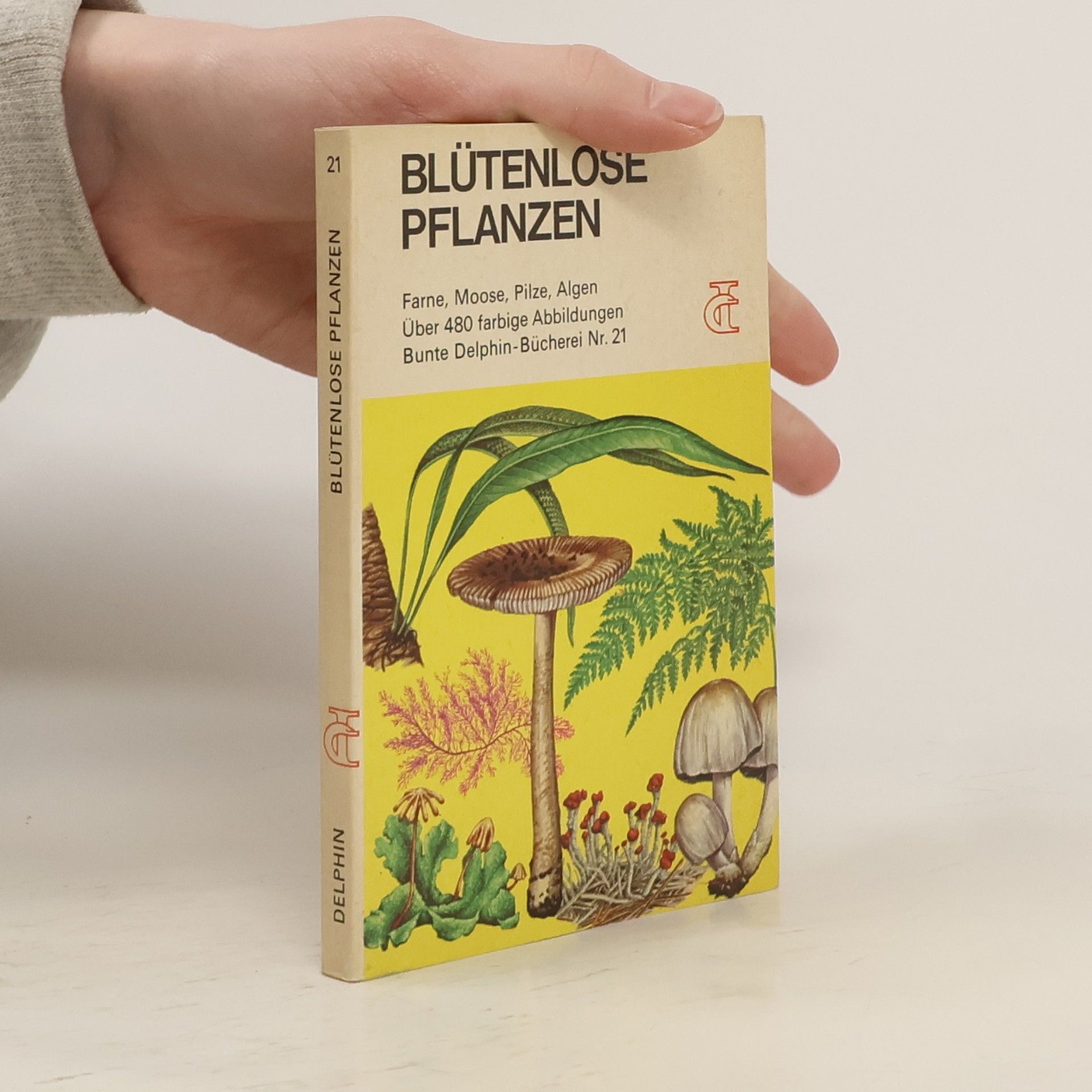 Blütenlose Pflanzen