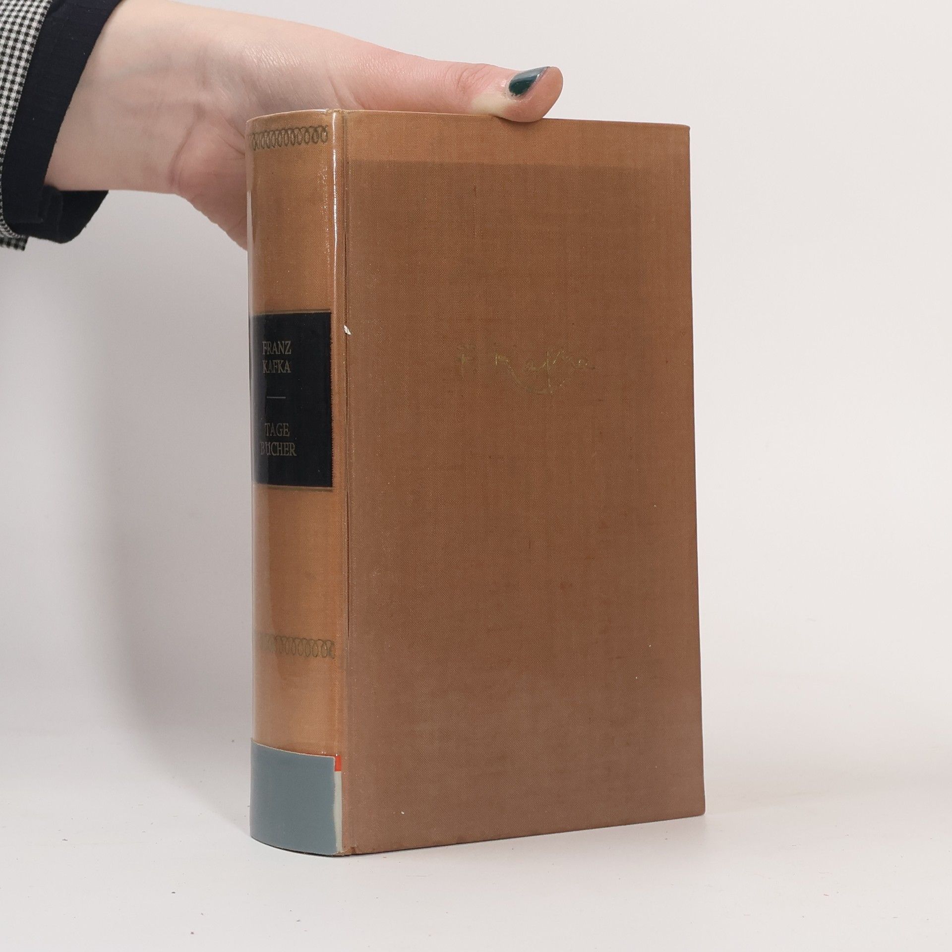 Franz Kafka Tagebücher 1910-1923